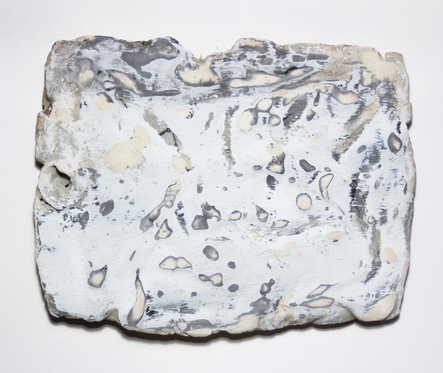 Mary Connell "Coastal Blizzard Winds", seashells, gesso, india ink and plaster, 5" x 8" x 0.5", 2026, $600