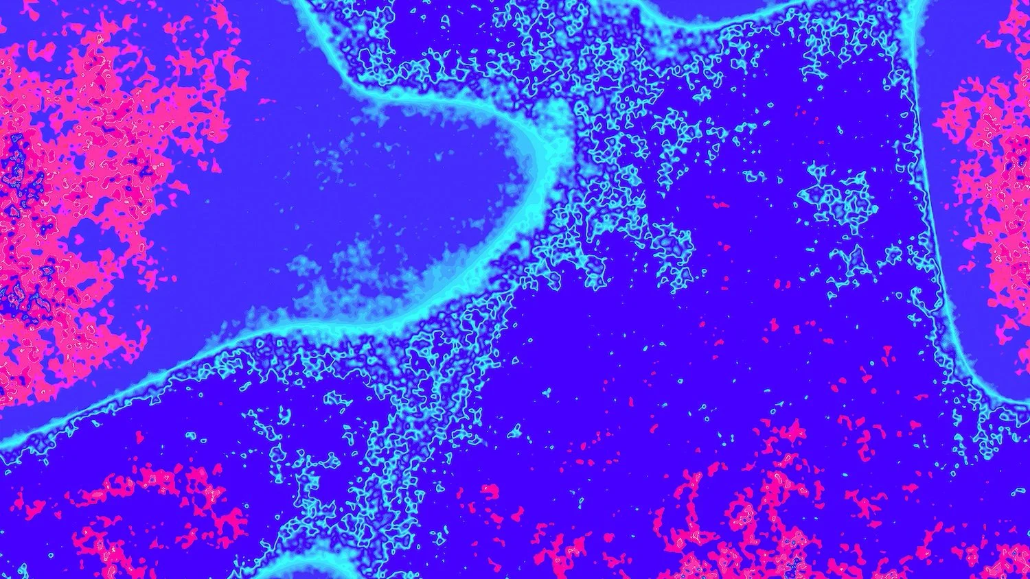 Chenglin Li "Synthetic Evolution", digital computational art, 1920 x 1080, 2025, $300