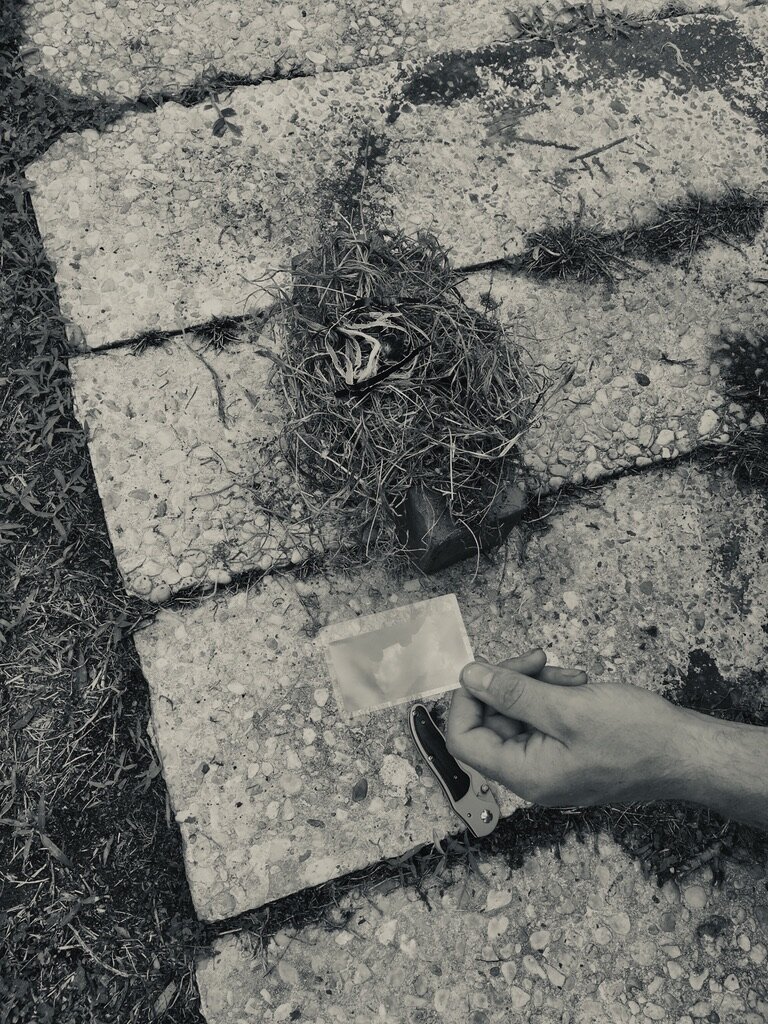 C552EE22-4027-464B-90D1-4CC78569D279_1_105_c.jpeg