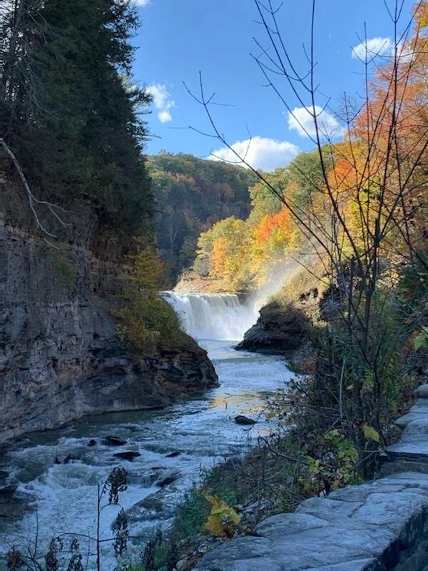 The Best Season is Fall