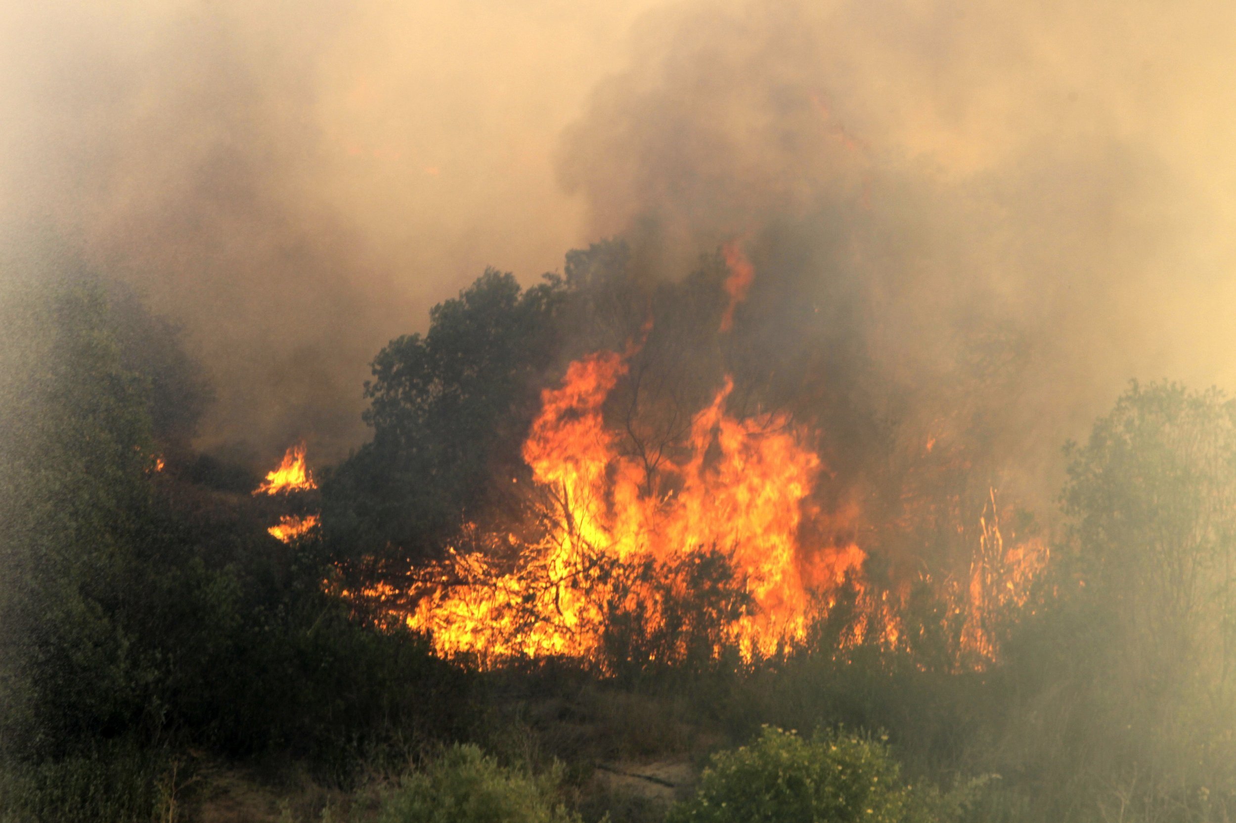 Wildfire rages within Southern California: Thousands forced to evacuate