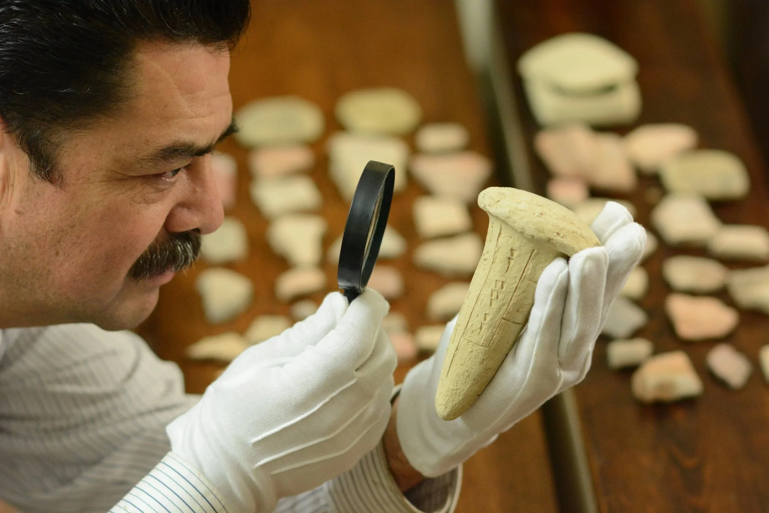Archaeological Updates: Recent excavations in Georgia uncover ancient jawbone of human ancestor