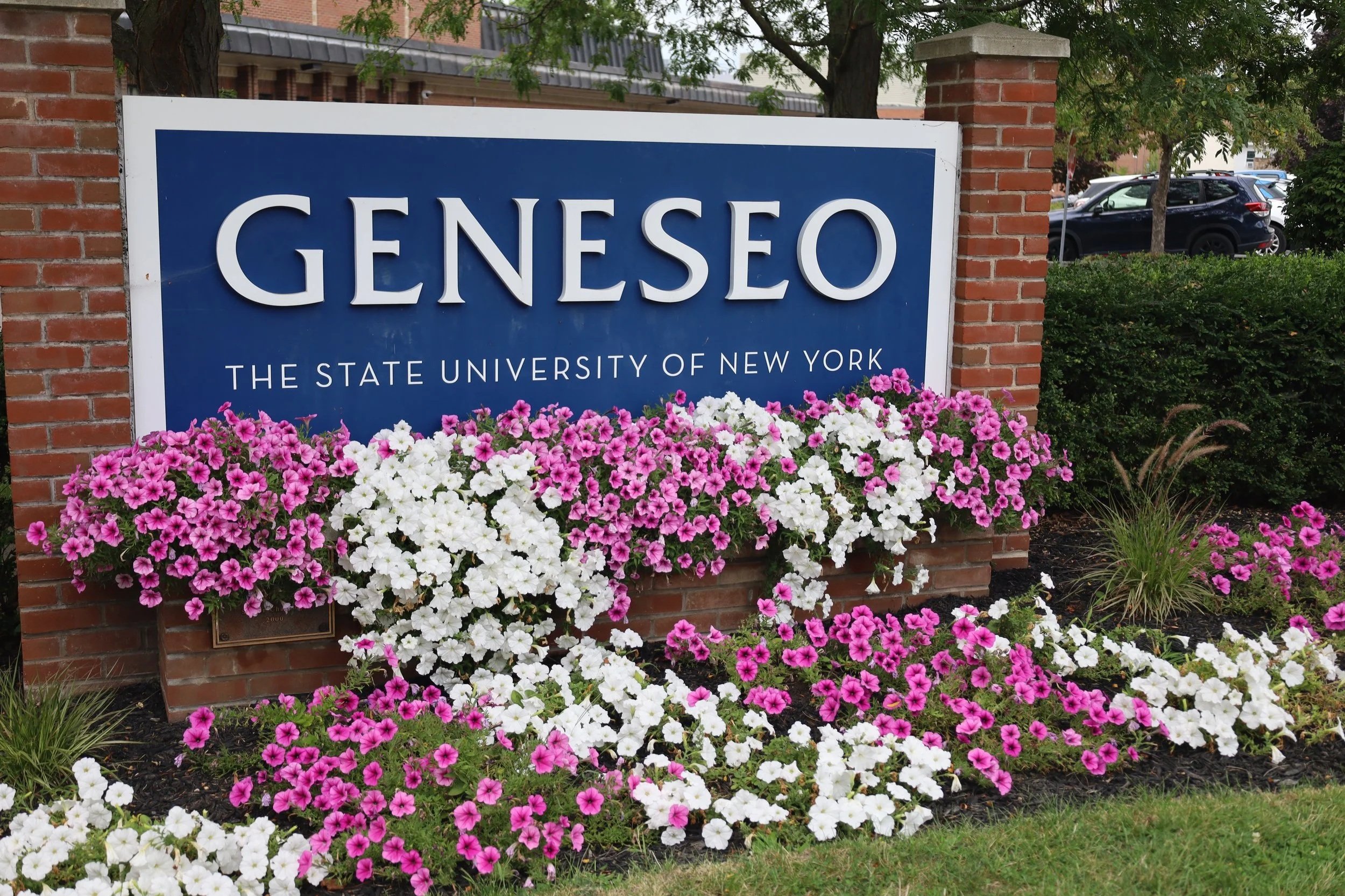 There is a club for everyone here