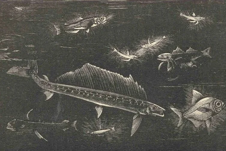 The push to accelerate deep-sea mining