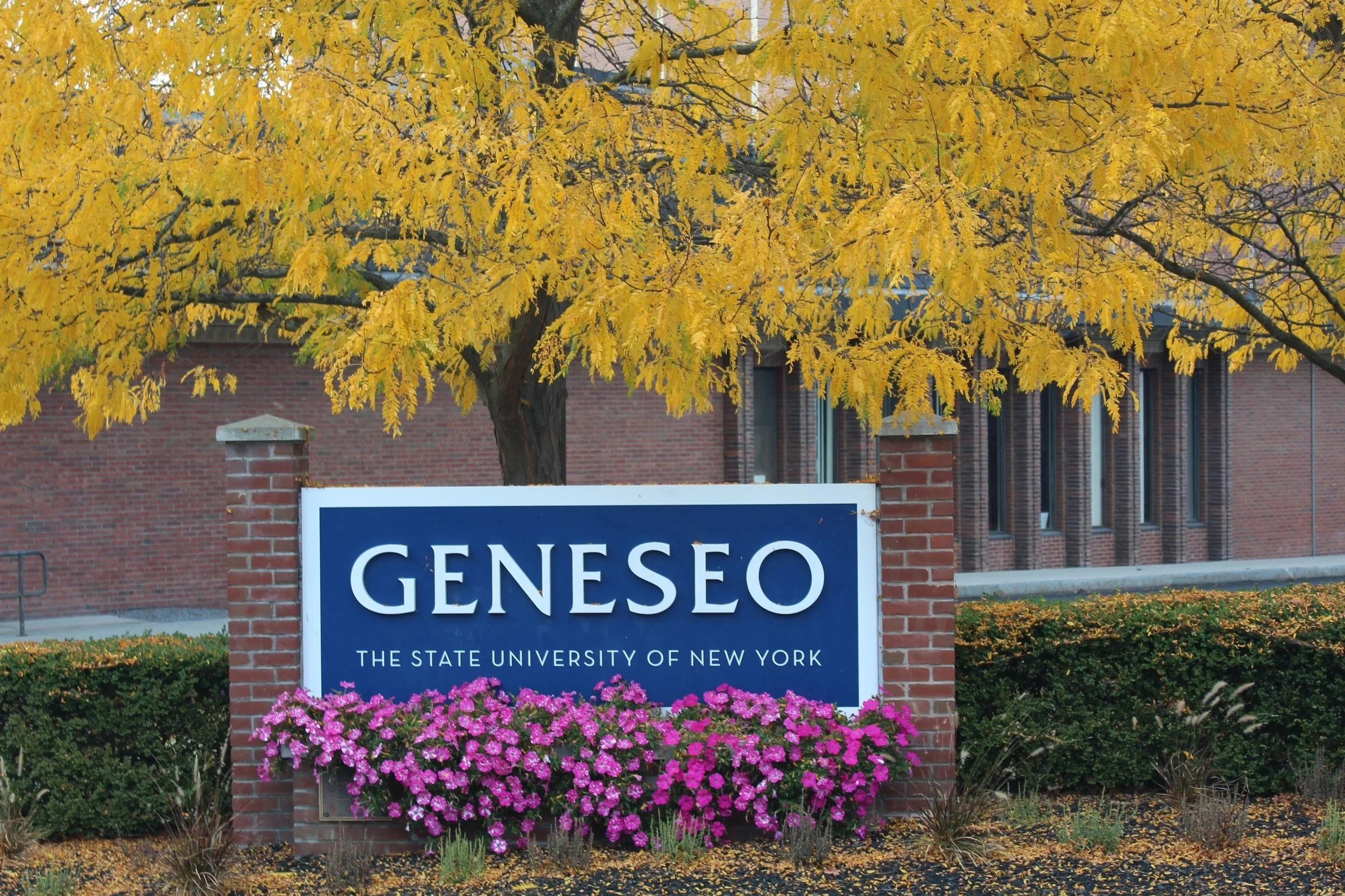 SUNY Geneseo’s Career Design Center expands to help students 