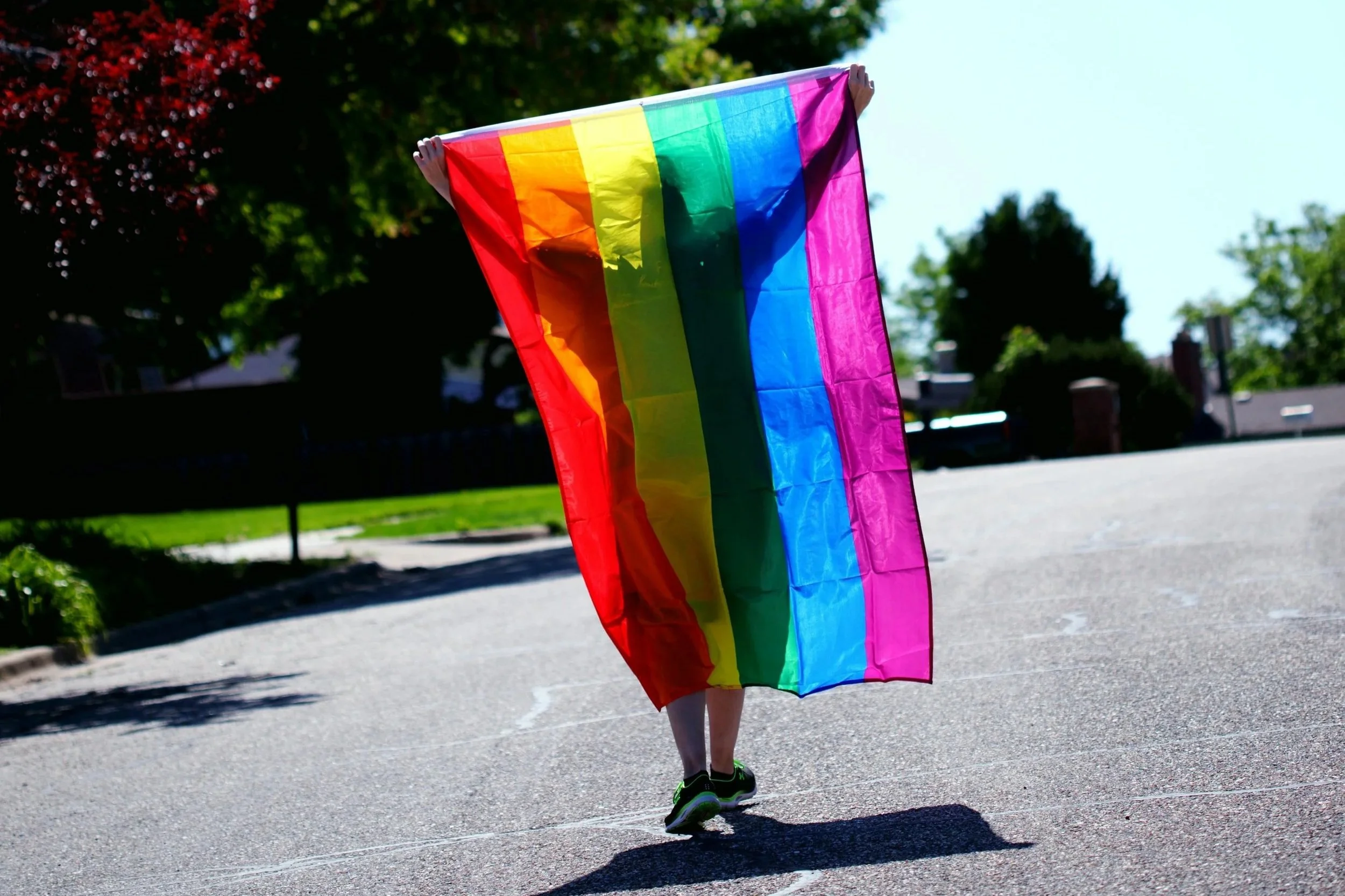 Meaningful queer media to watch