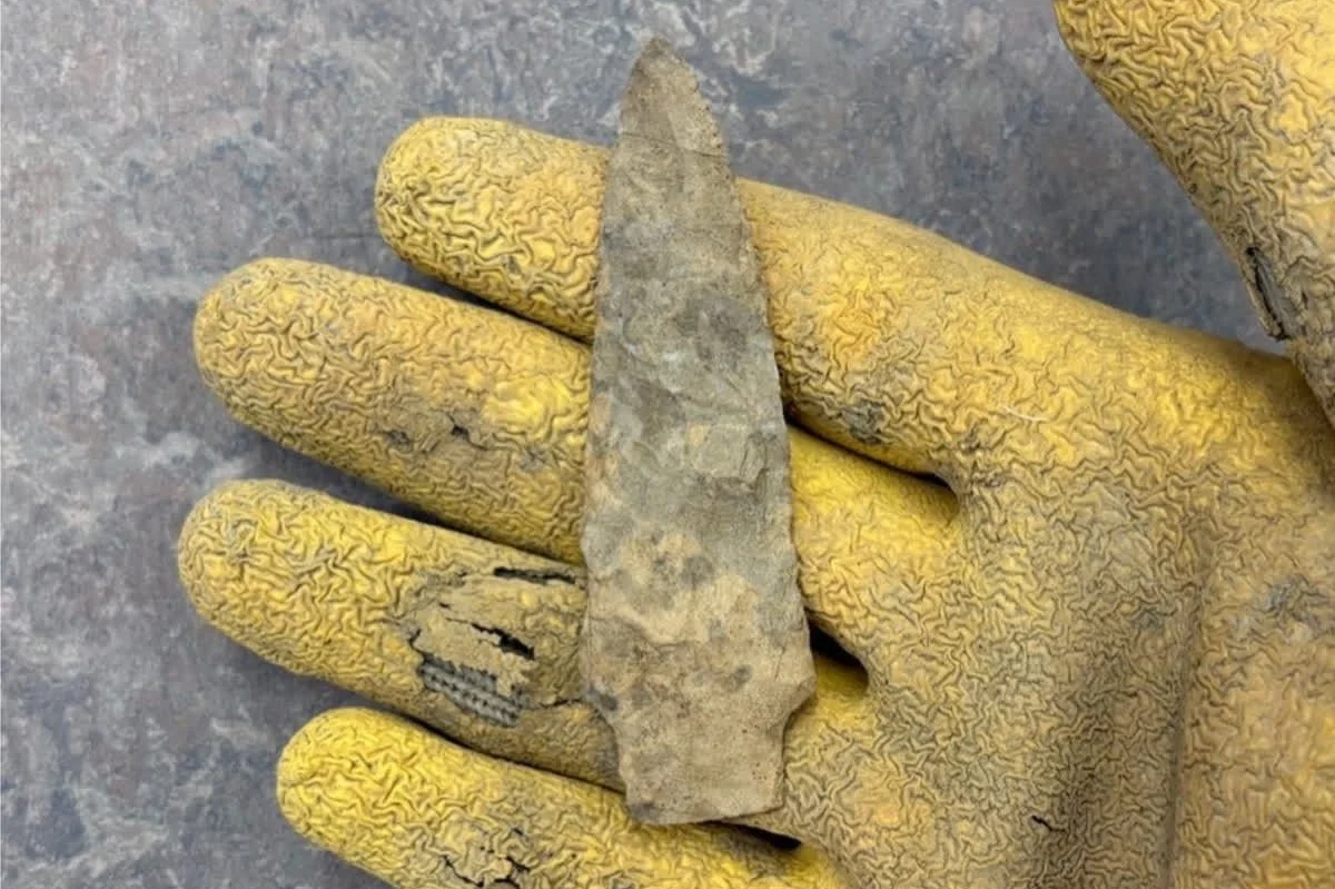 Archaeological Updates: Artifact found in Anthropology Department