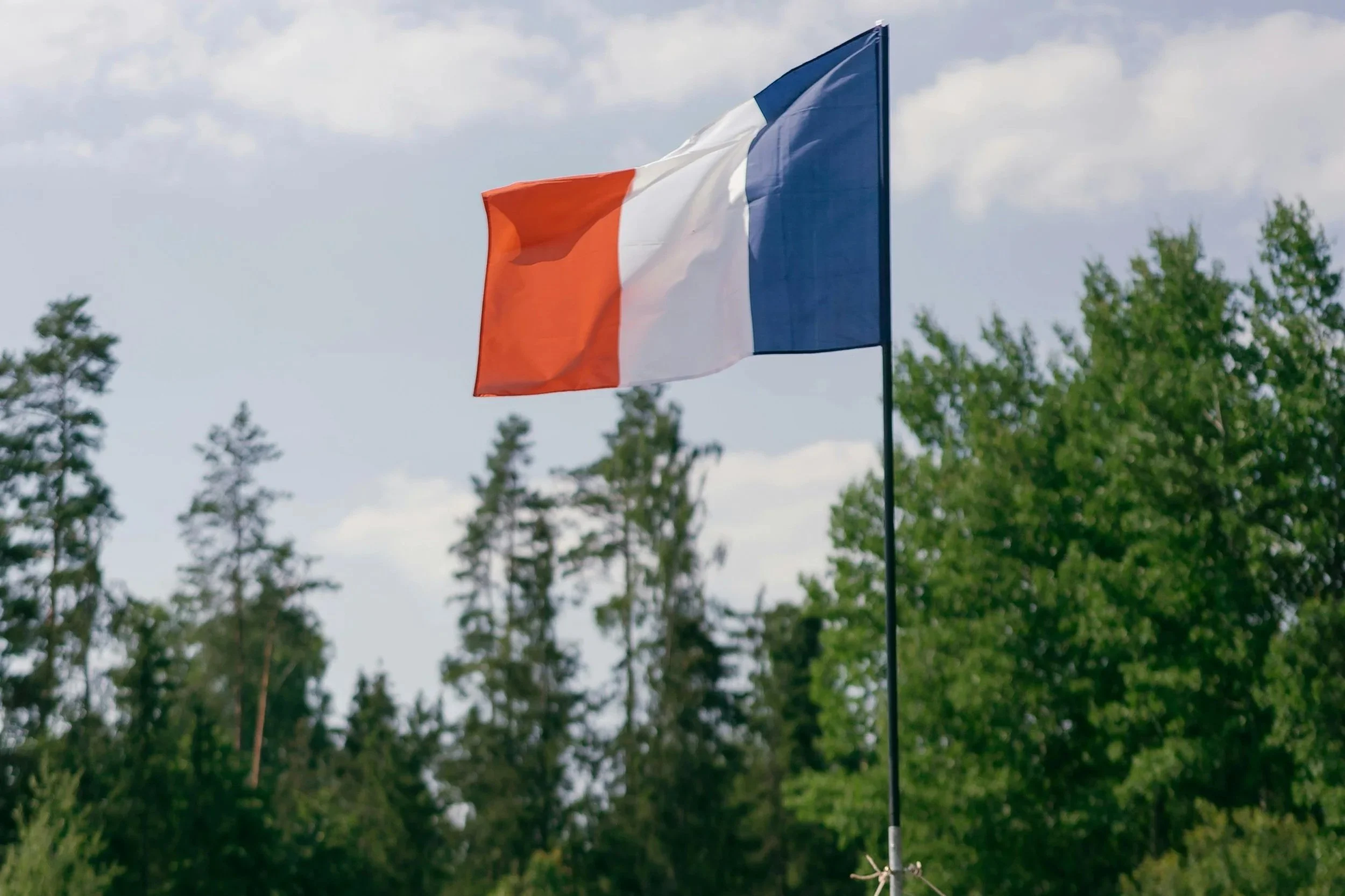 Oh, la vache: manif à la française