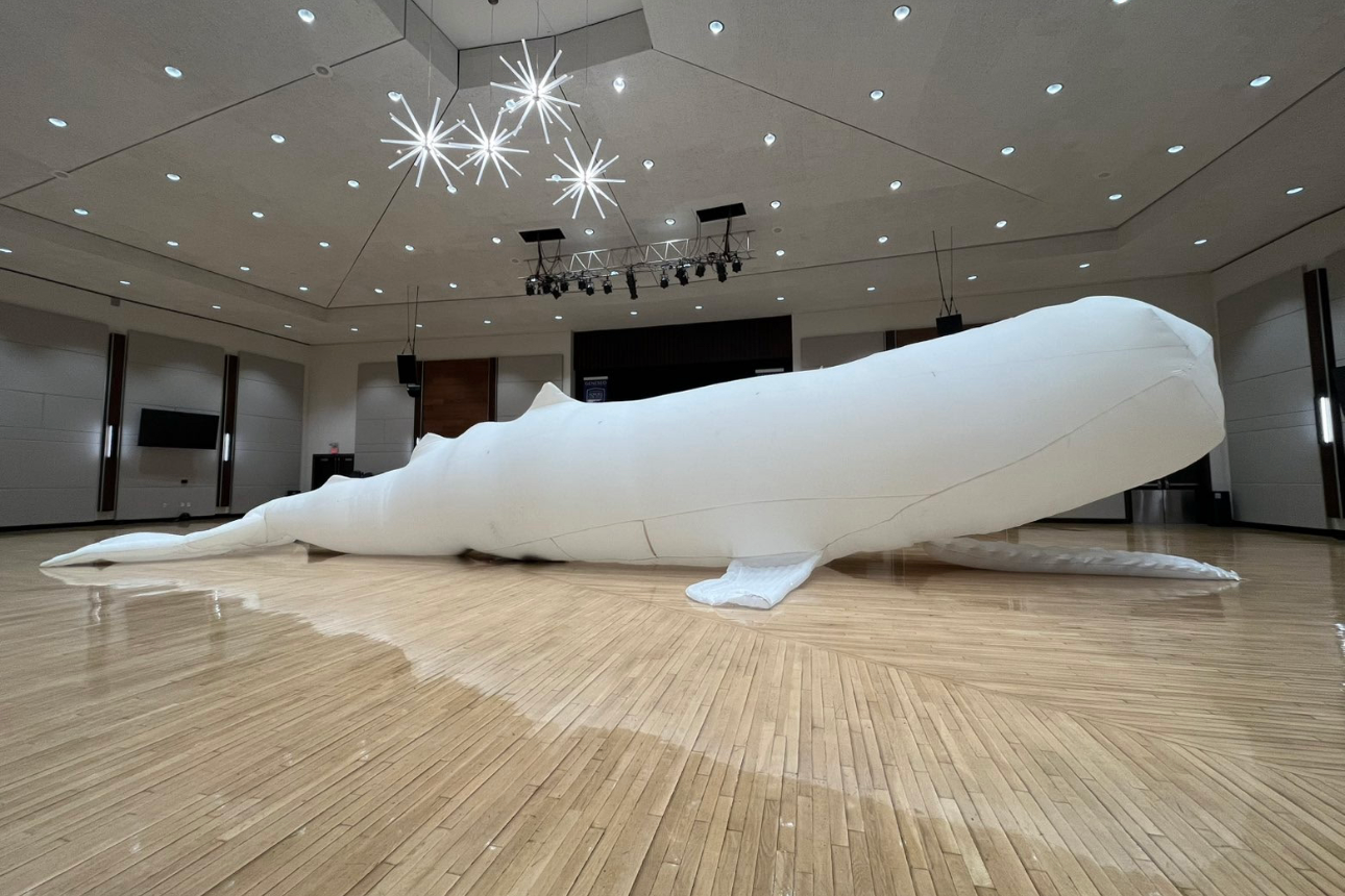 Invasion of Privacy: The Whale