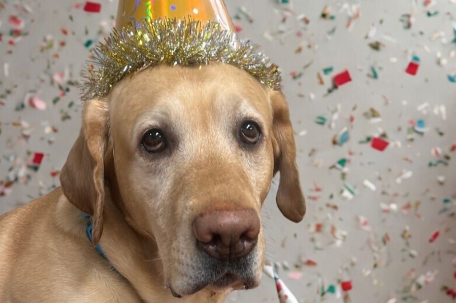 Myko “Mykonos” Frisiras turns five!