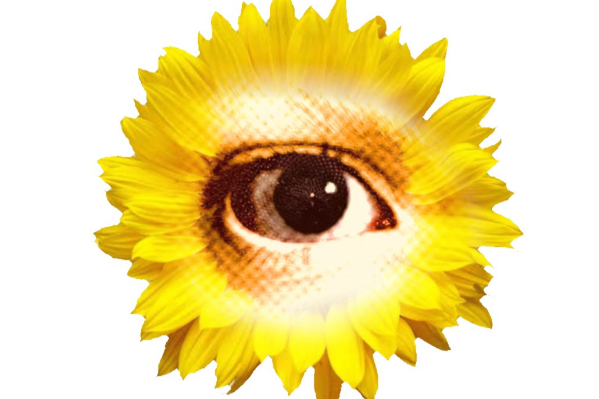 Tune into the final season of Sunflower Story Hour!