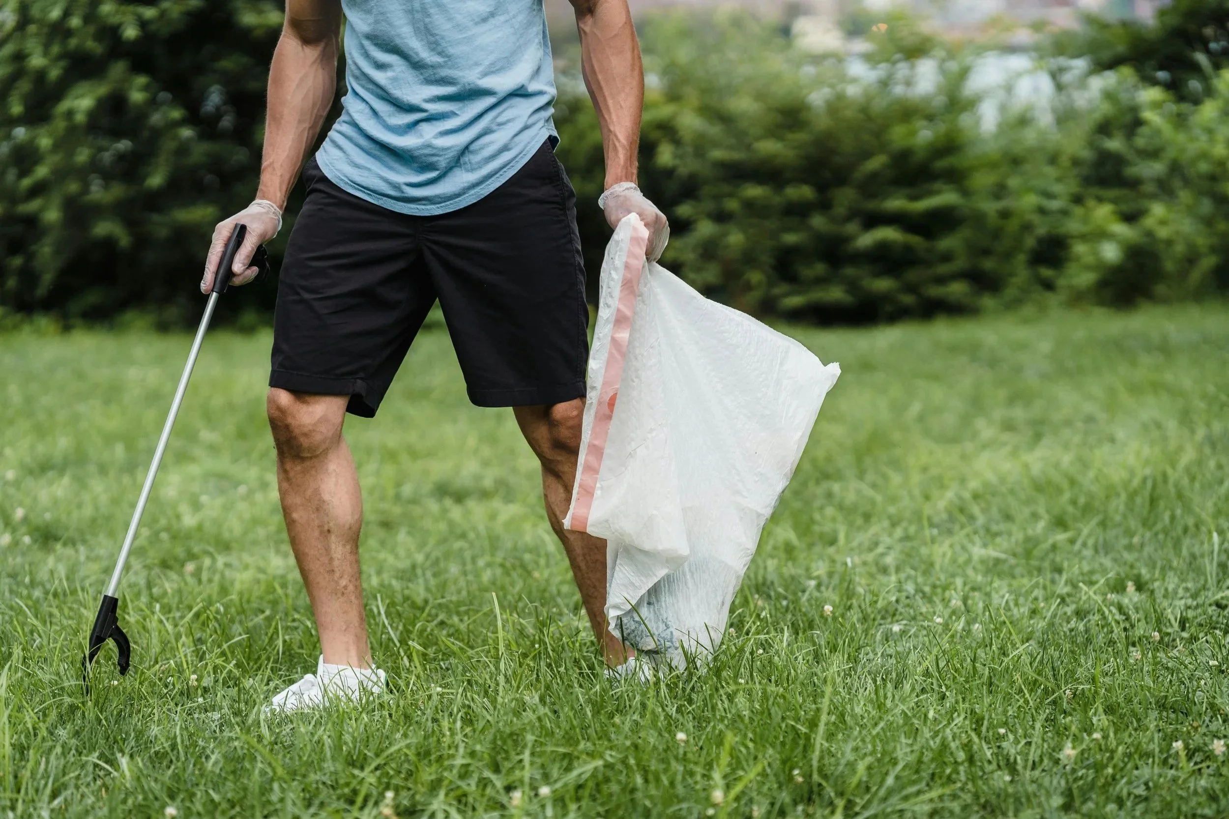 New York State prepares for I Love My Park Day 2026