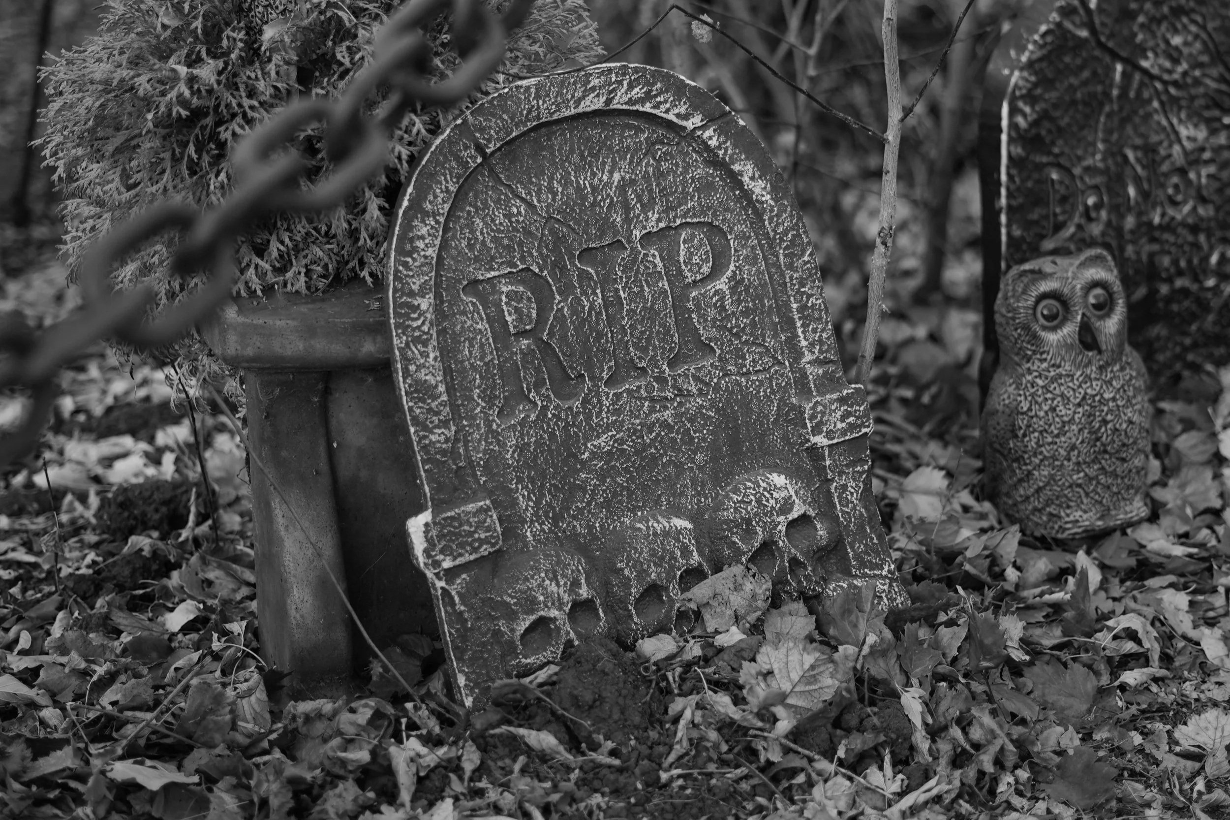 Geneseo’s Temple Hill Cemetery welcomes its 13th annual Spirit Walk