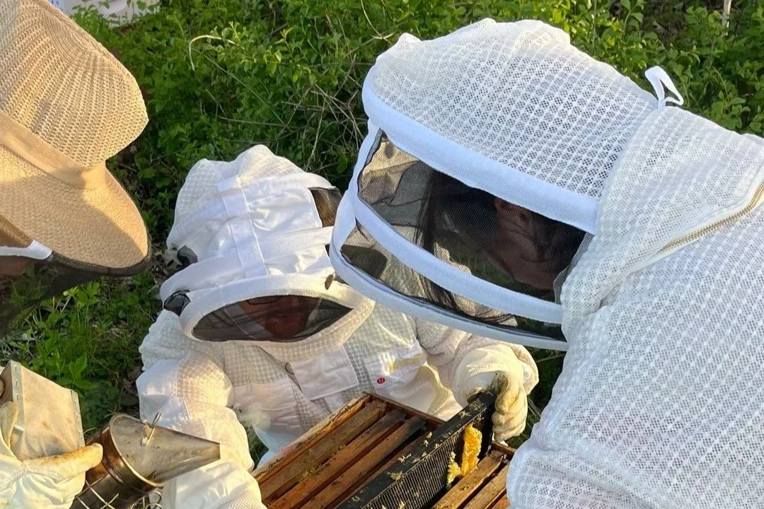 Grace Hutton on beekeeping at SUNY Geneseo