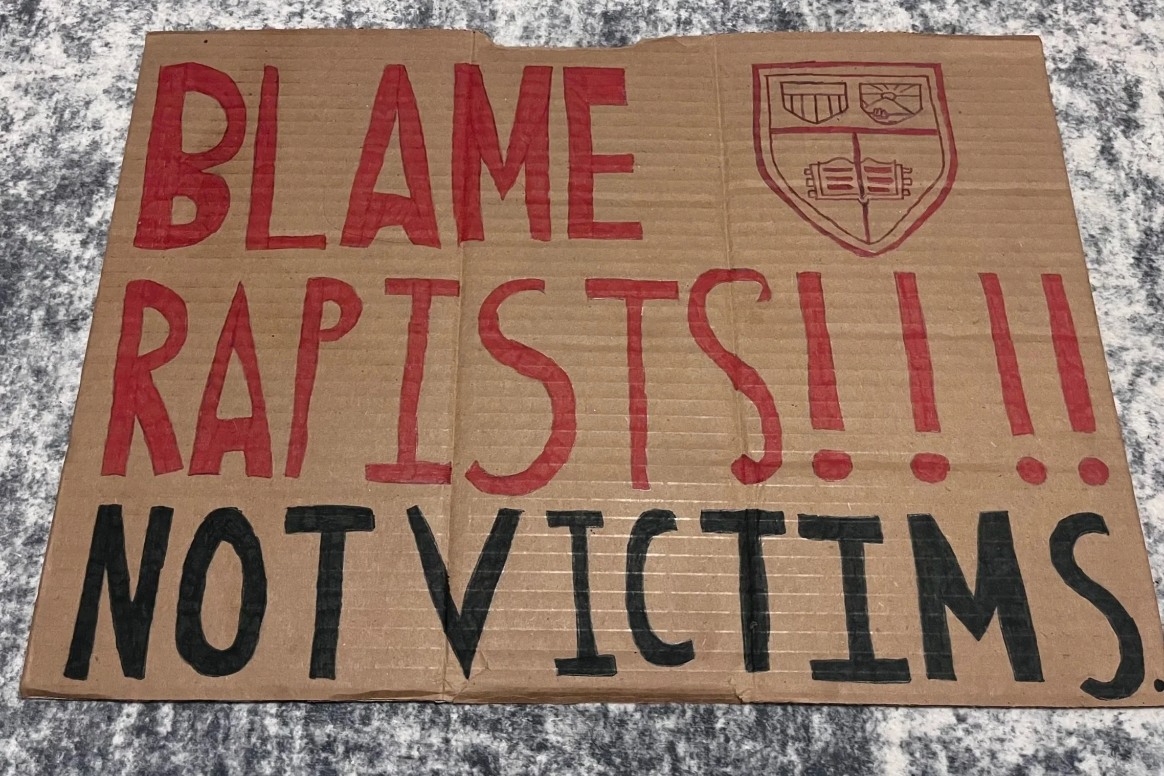 “I am Jane Doe”: Peace Action’s protest