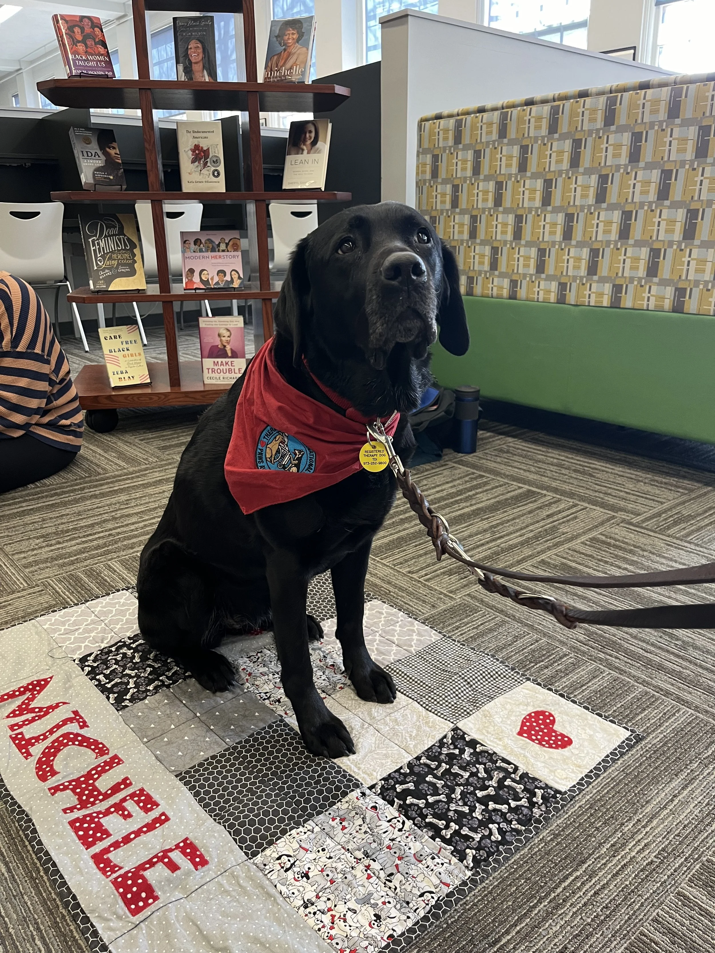 Invasion of Privacy: Marci Frutkoff and Michele the Library Dog