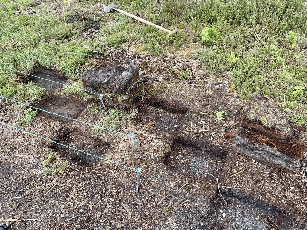 Fig 3. Breaking Ground, Progress Day 3 (2022)