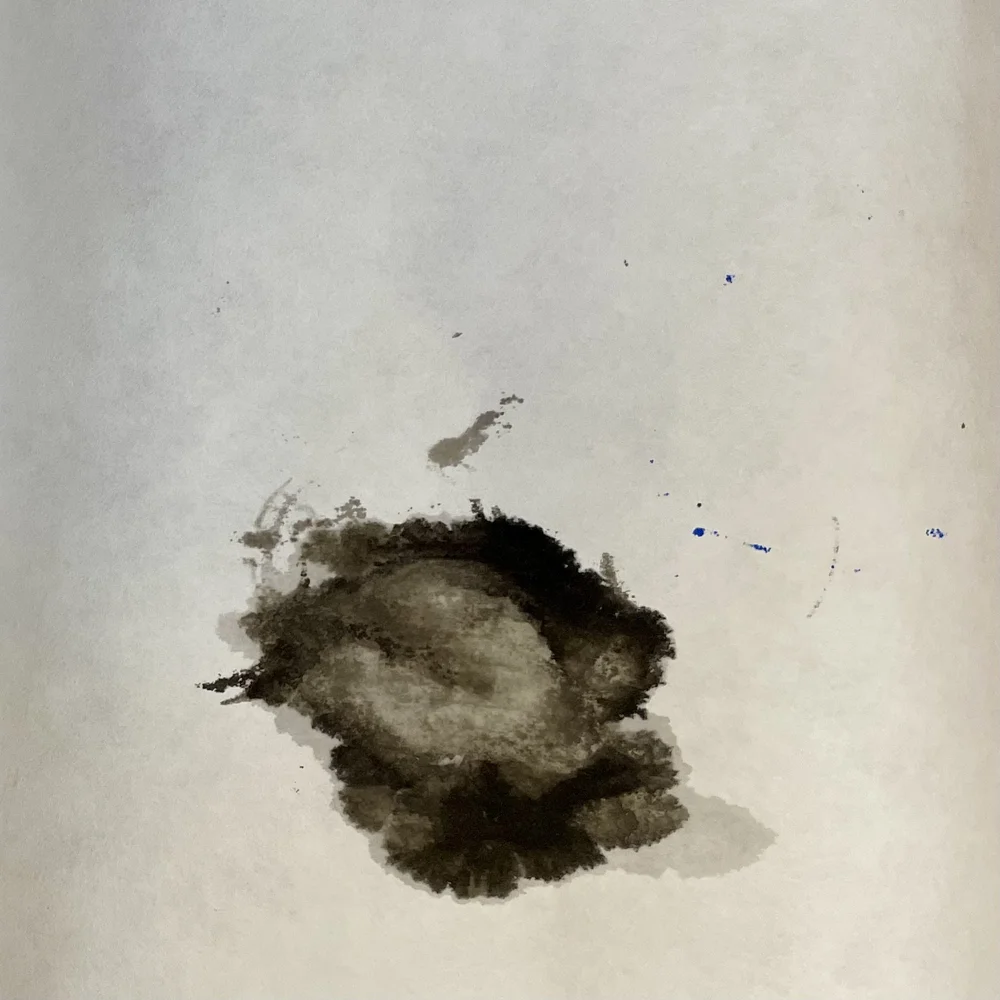 A Field Guide Drawing 1.jpeg