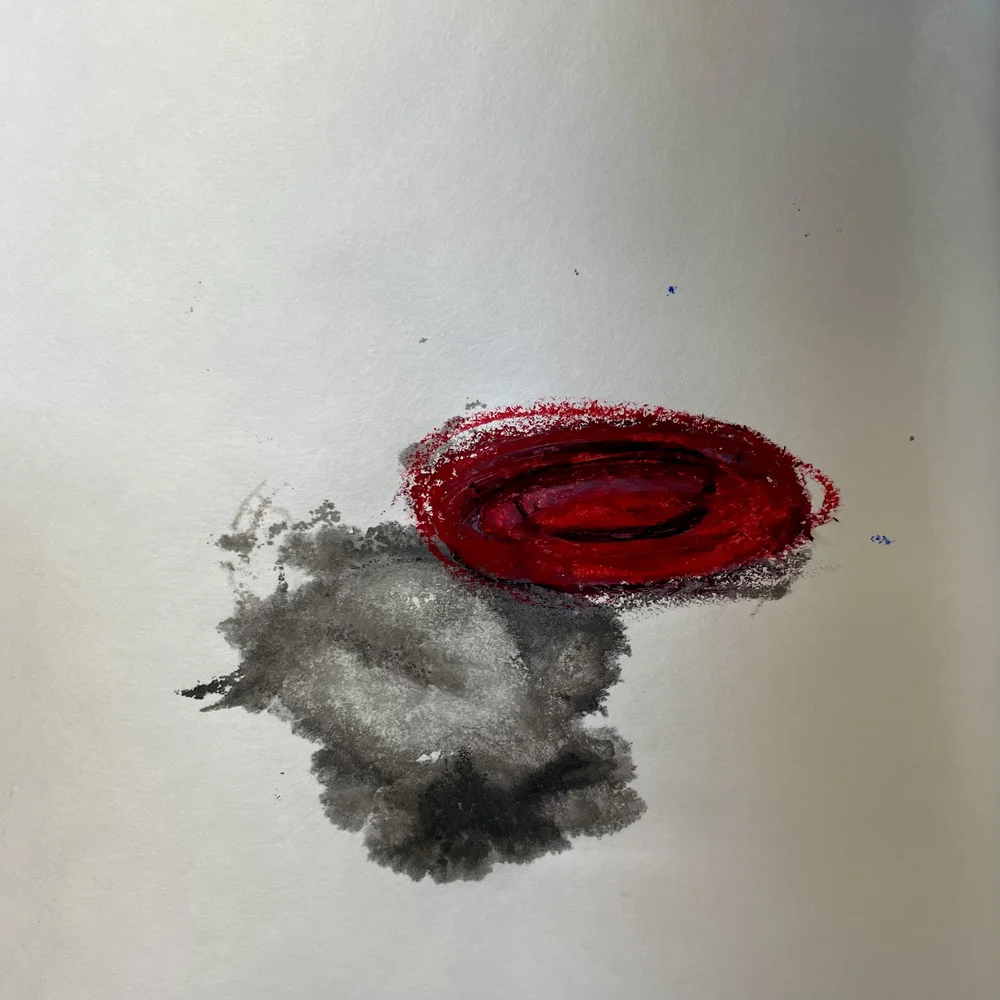 A Field Guide Drawing 2.jpeg