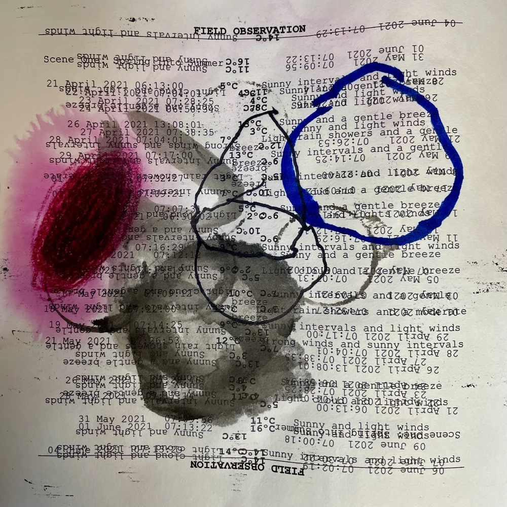 A Field Guide Drawing 3.jpeg