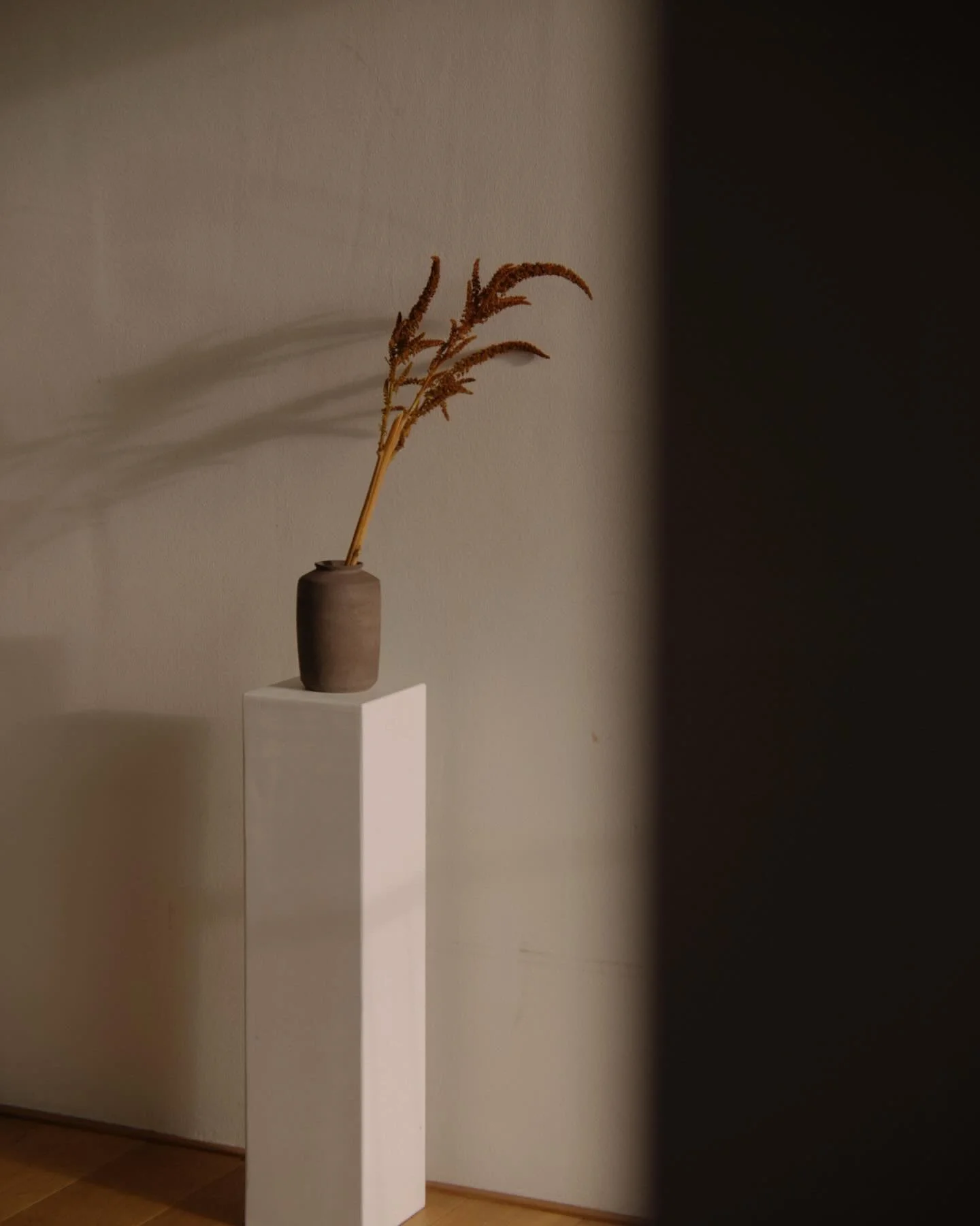 Autumn flavour 🍂

#handbuiltceramics #slowmade