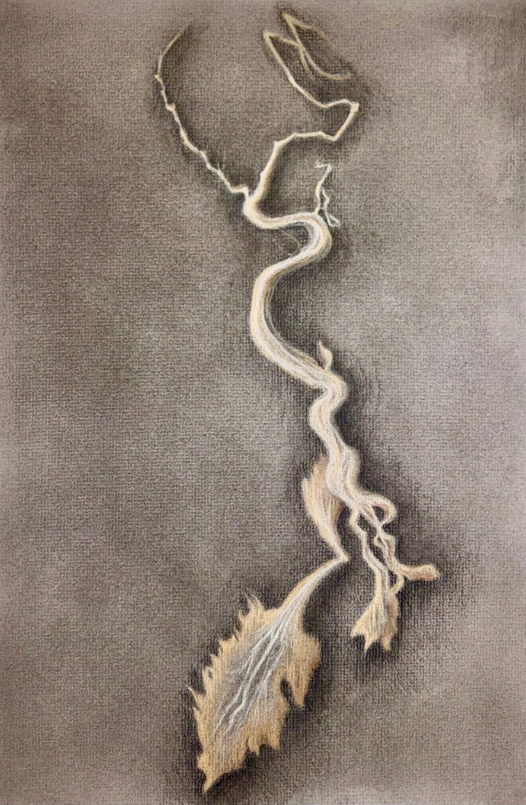 Downstream
2026 Charcoal on paper 12 x 18 inches