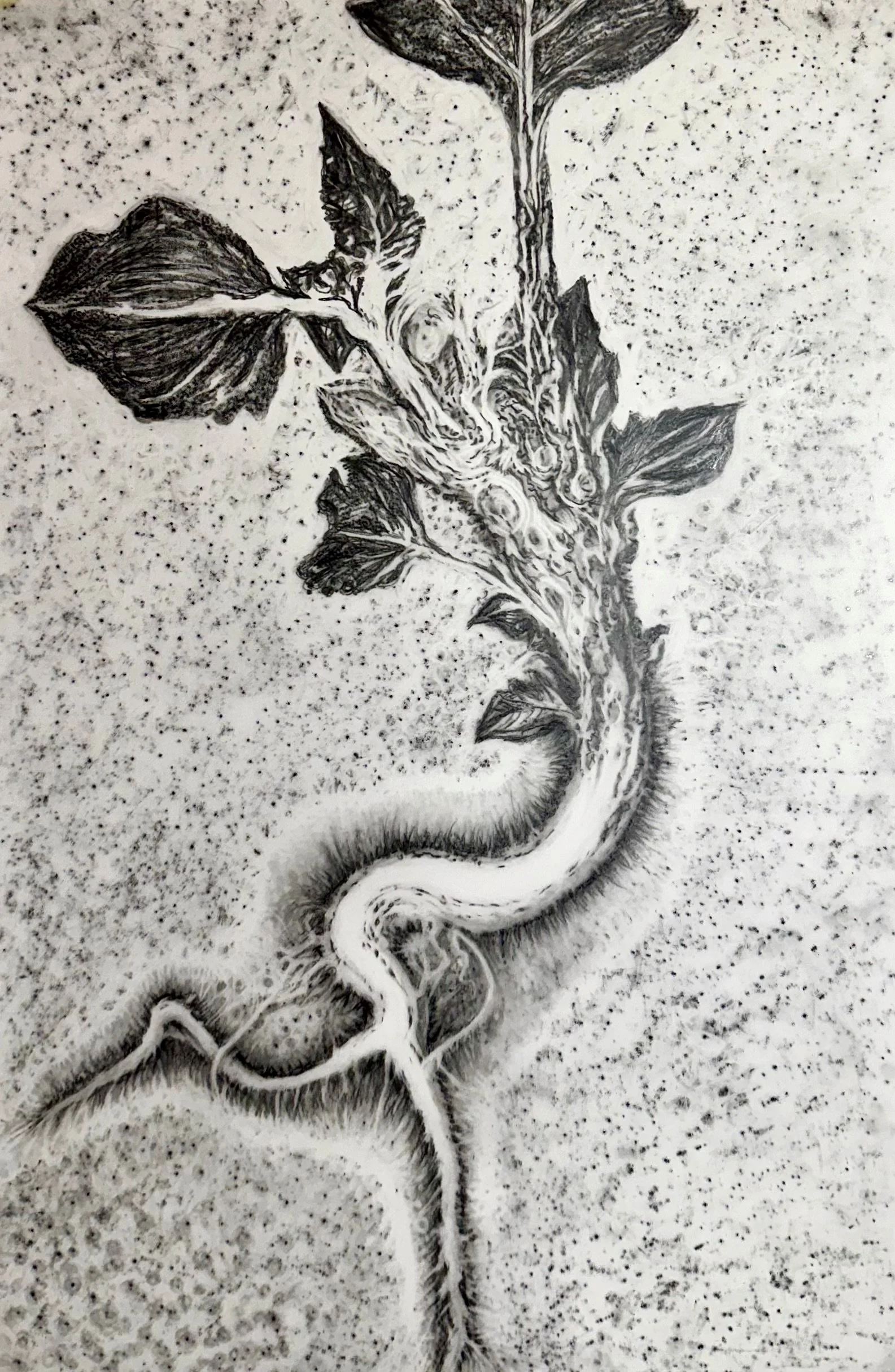 Dance
2026 Graphite on duralar 12 x 18 inches