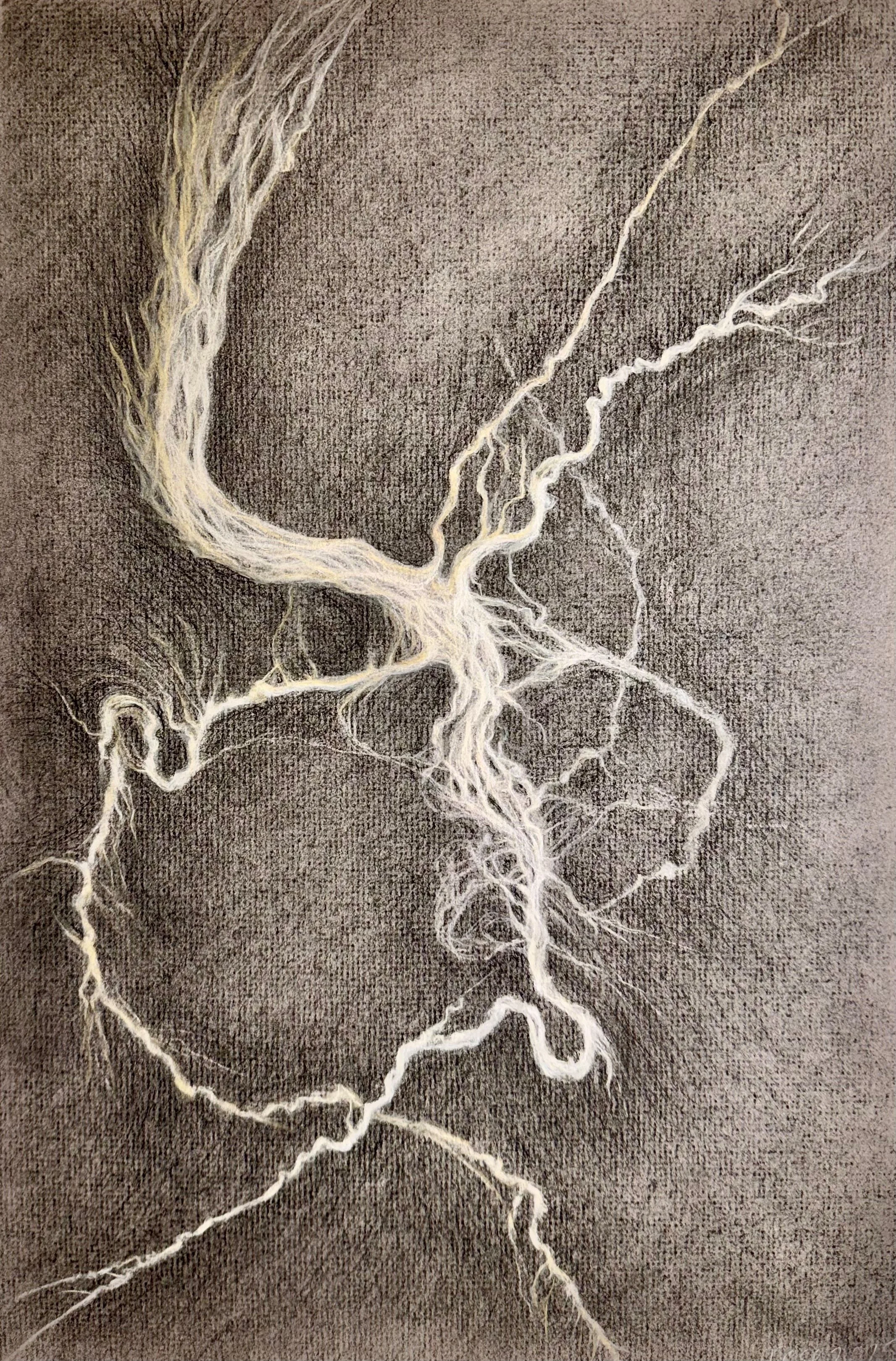 Tributaries I
2026 Charcoal on paper 12 x 18 inches
