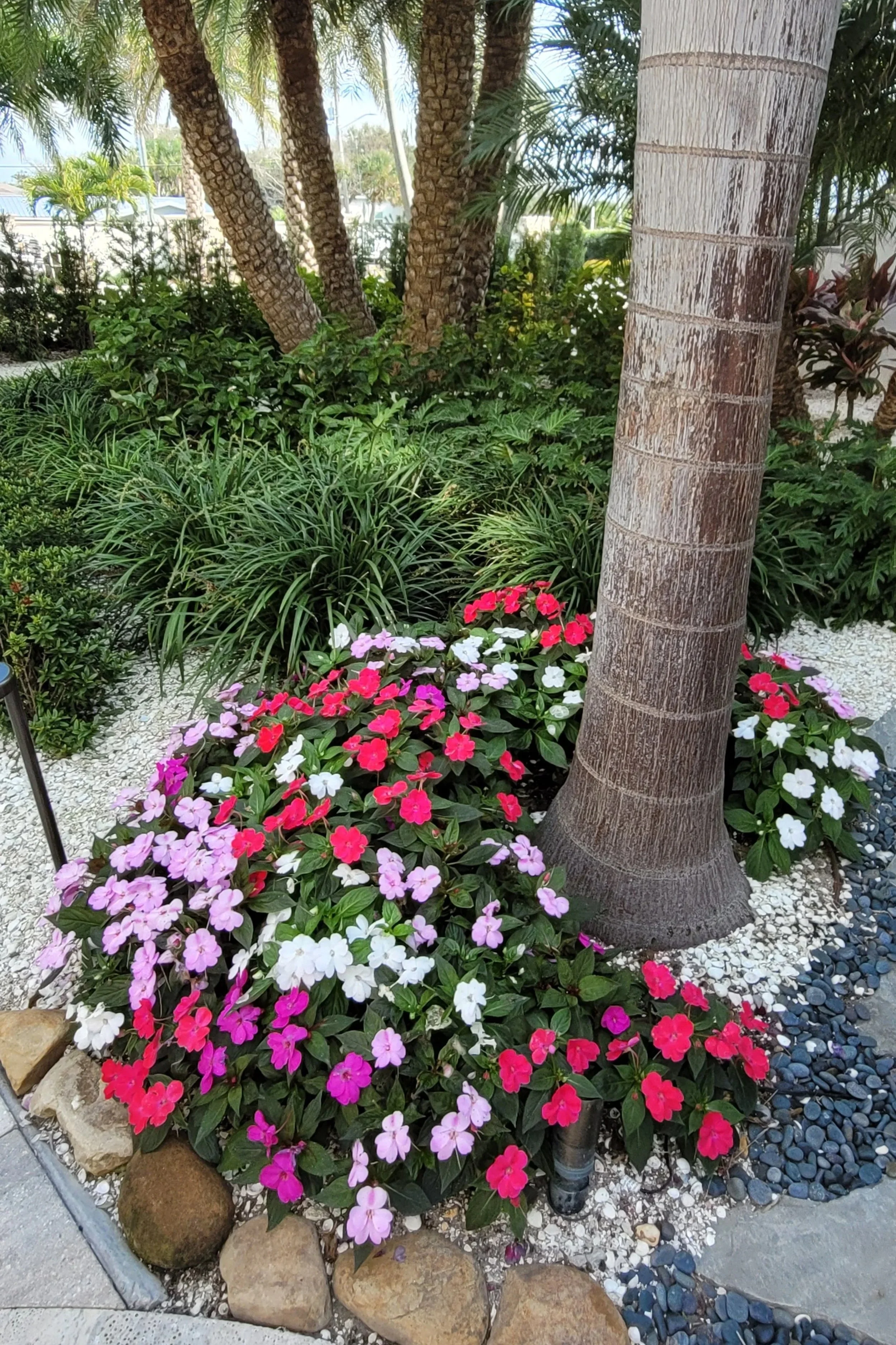 Belleair Beach Gardening services