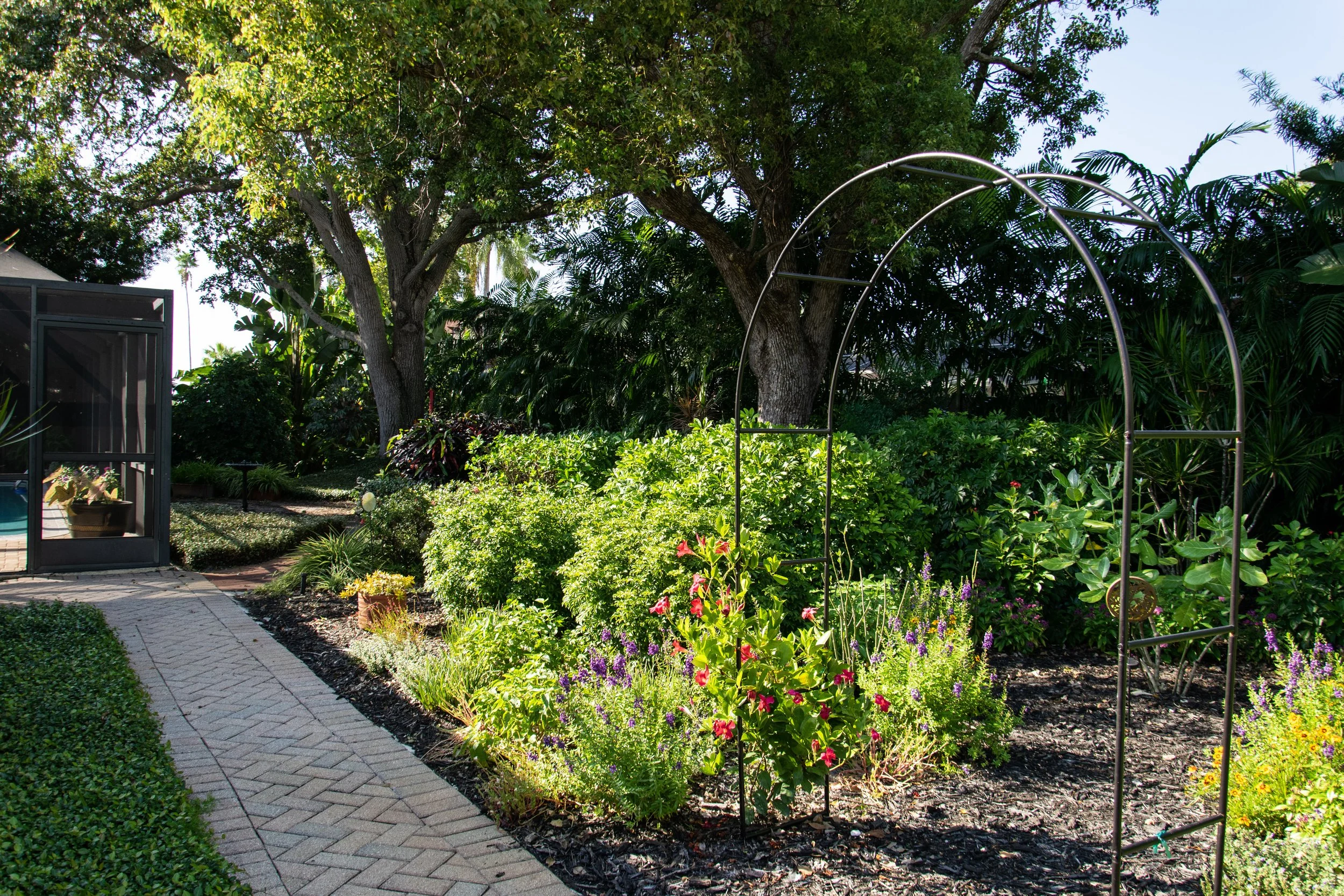 Belleair, FL landscape services, landscape lighting and professional concierge landscape service