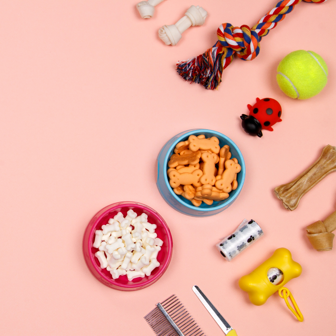 EcoFriendly Pet — EcoFriendly Made Easy