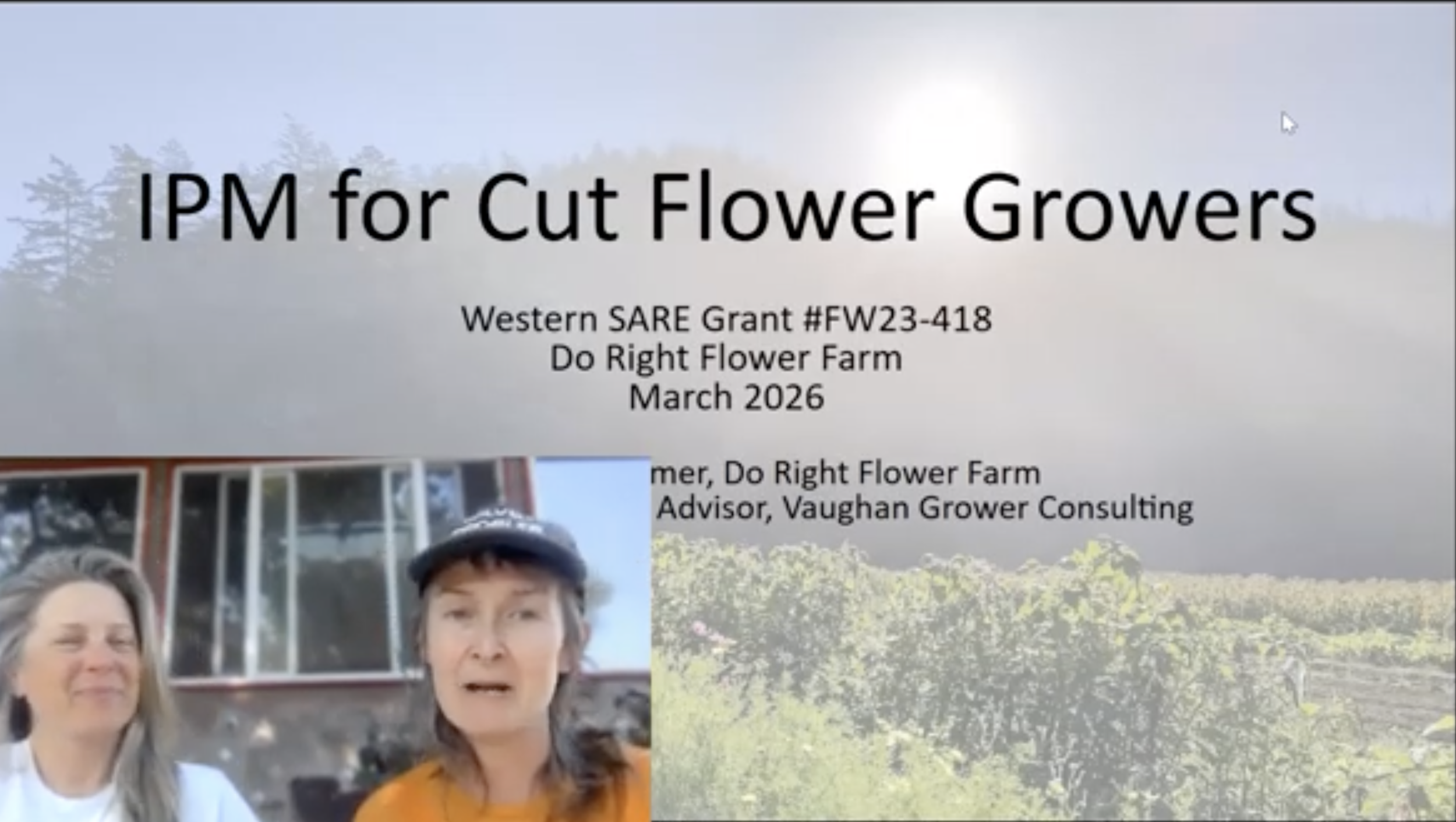 Final Grant Presentation ‘IPM for Cut Flower Growers’
