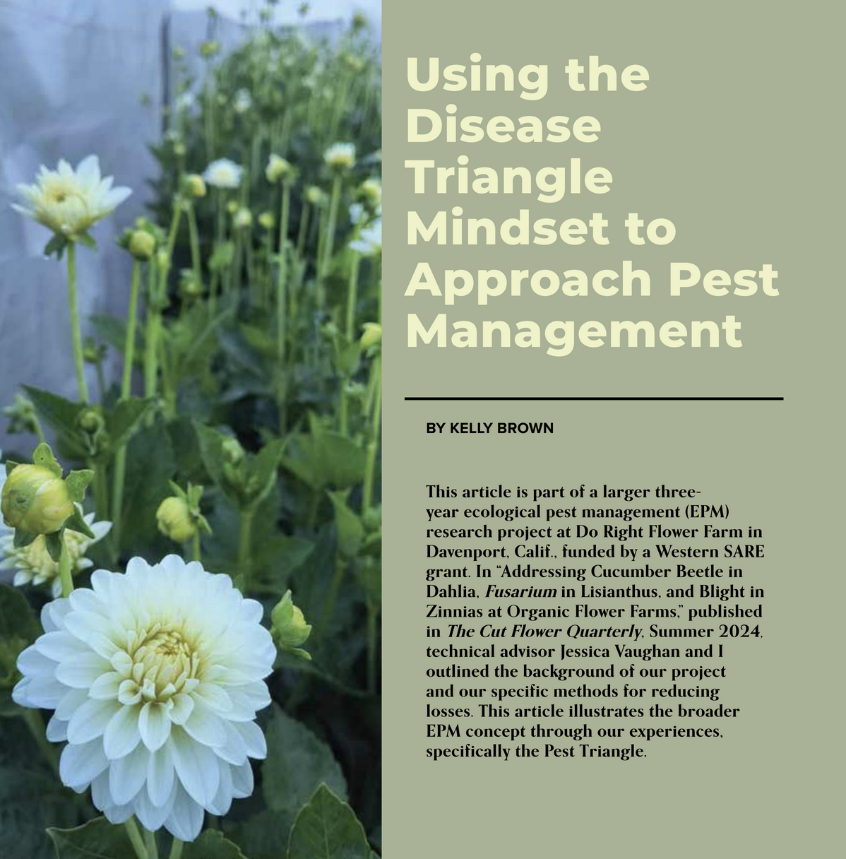 Using the Disease Triangle Mindset to Approach Pest Management