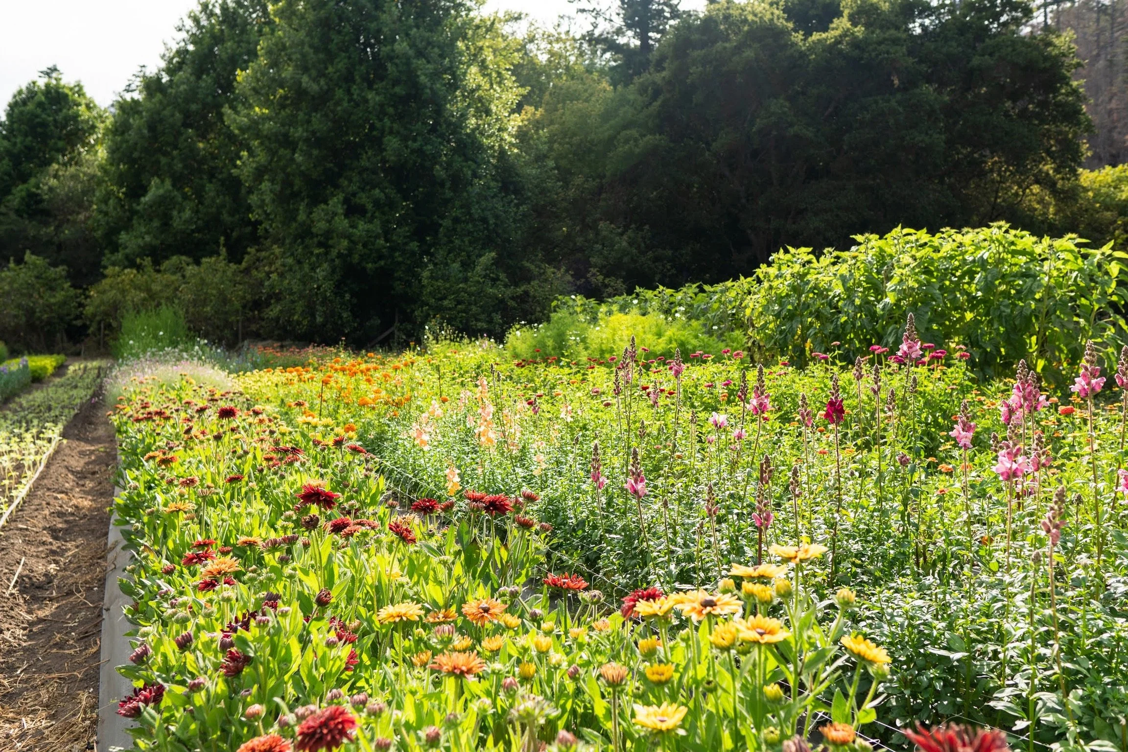 farm 0E18388E-2BB1-4750-B3EF-76C5A8D19AE7.JPG