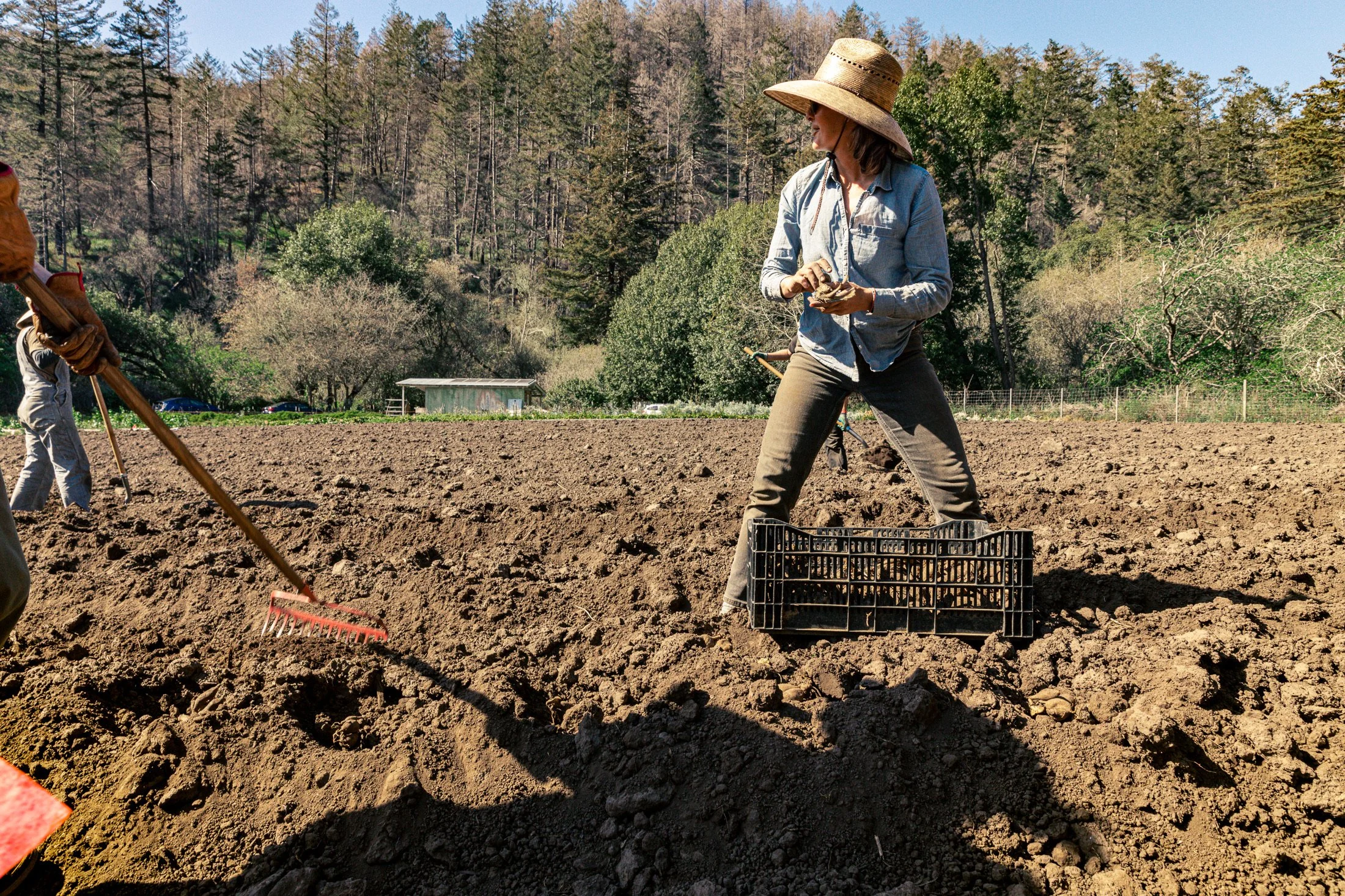 farm 59606F15-87BA-484F-BA2D-F0BB50F95B4F.JPG