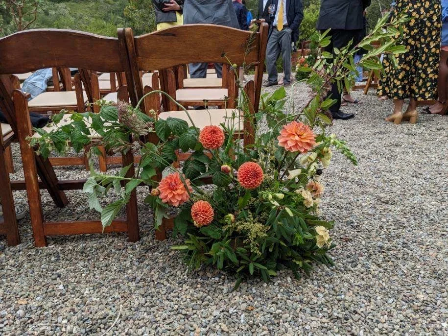 ceremony-6D59E831-72C8-4290-826D-32B864571C07.JPG