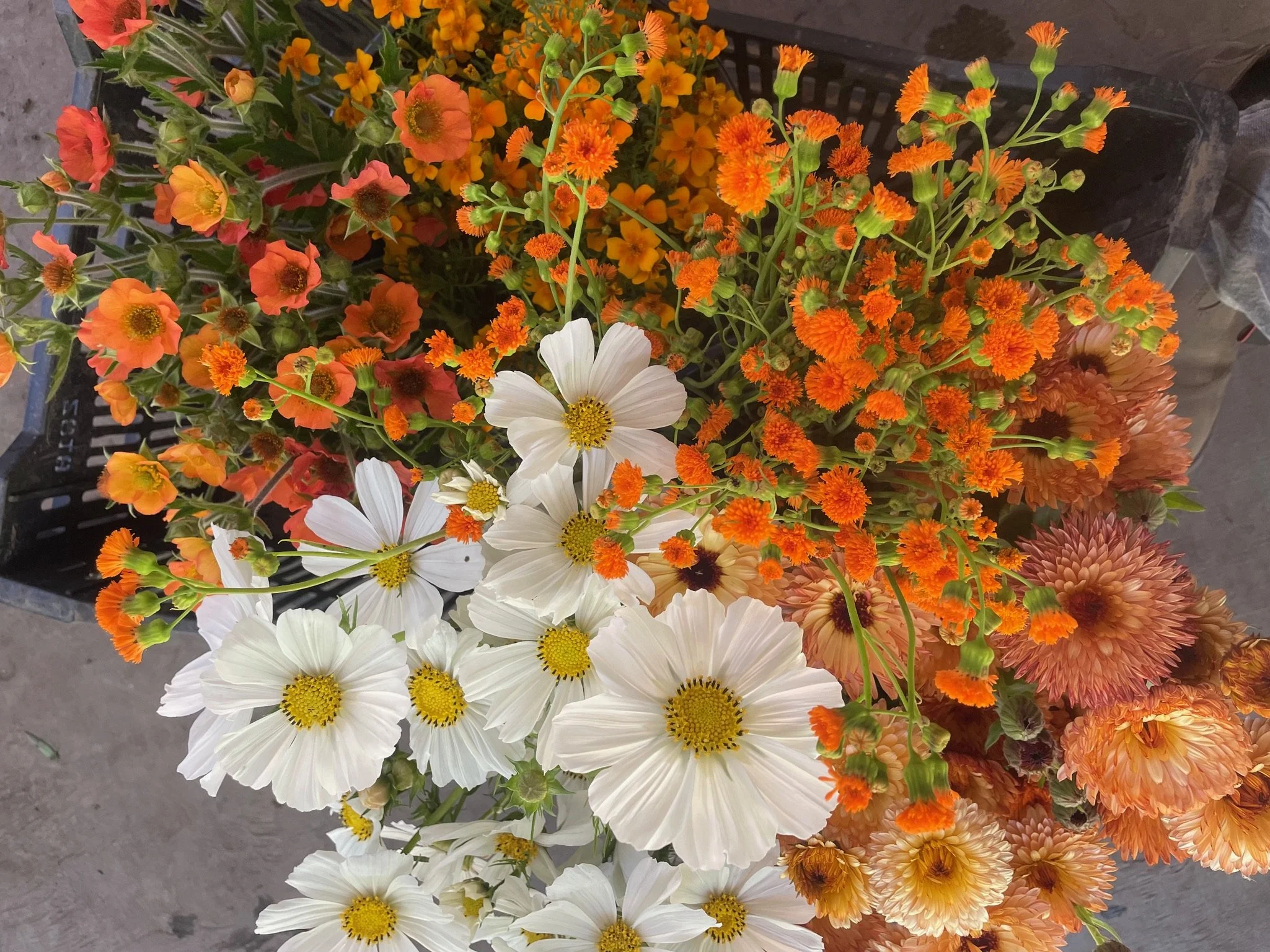 diy buckets3CBC234F-BF31-436F-8F6F-C903D6971081.JPG