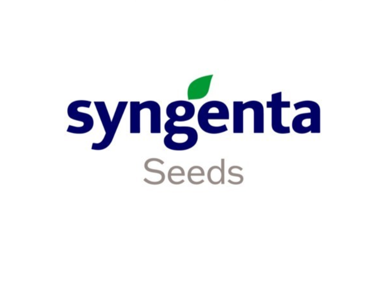 Syngenta Seeds
