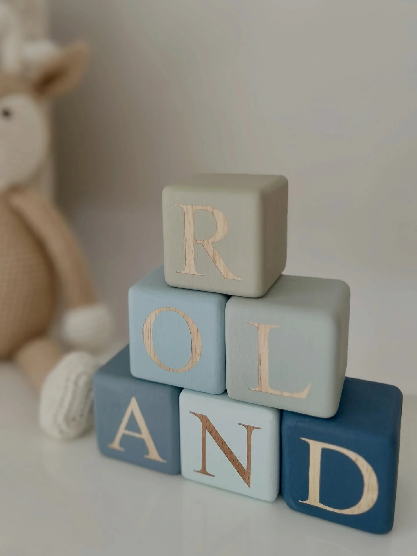 Top of the blocks!!!! How cool is this? It&rsquo;s up there with one of my Favs 💖

I&rsquo;ve had quite a run of people choosing Classic Fonts at the moment and it always looks timeless. 
Roland is pictured in Sage, Sky, Turtledove, Stormy, Arctic a