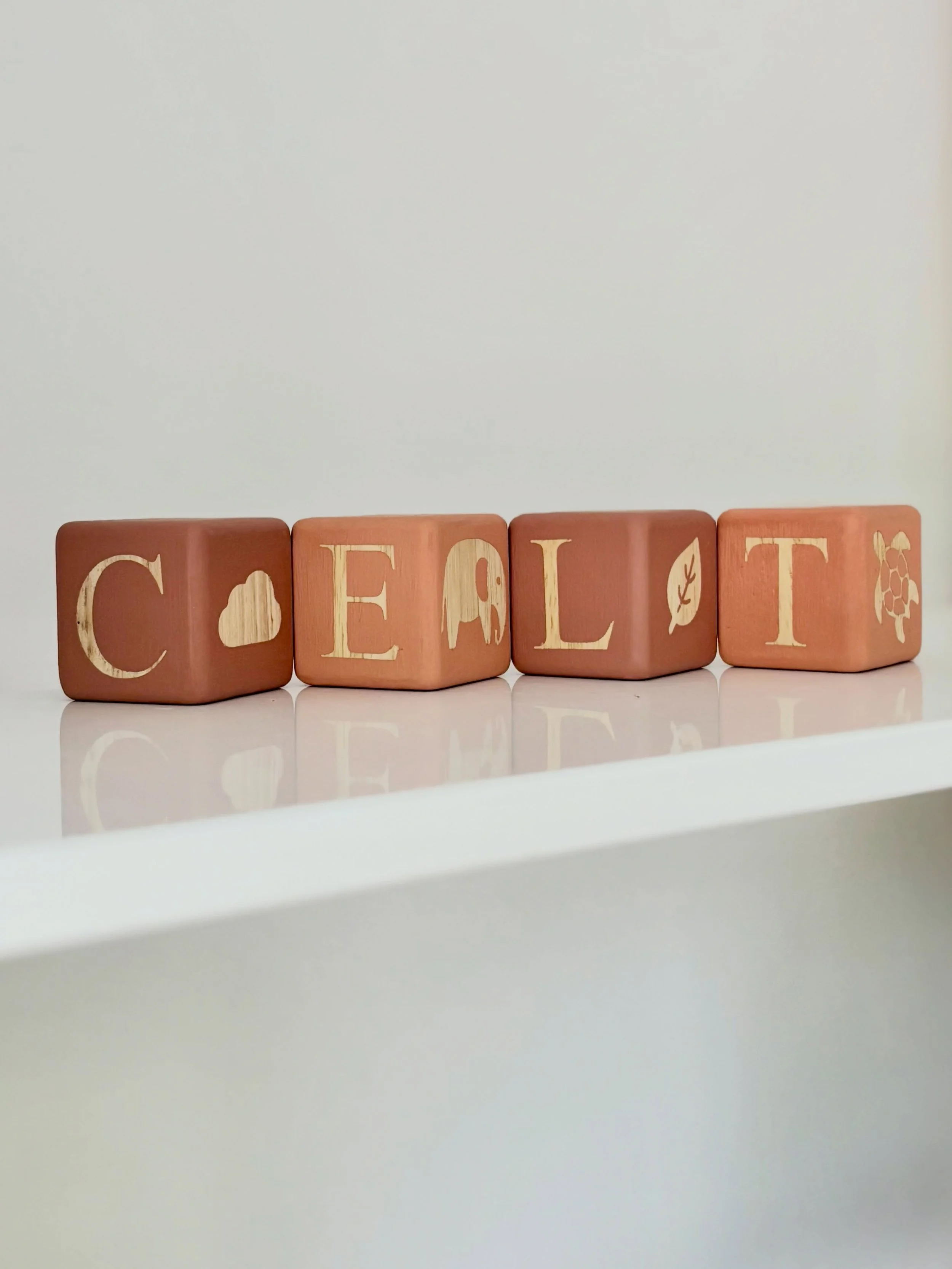 What a fabulous name! This one deserves a strong position on the grid 💖 Simple and elegant colour way in Terracotta and Starfish. 
Adding illustrations to your name blocks gives an extra level of detail. 

#nameblocks #newbabygift #babyshower #nurse