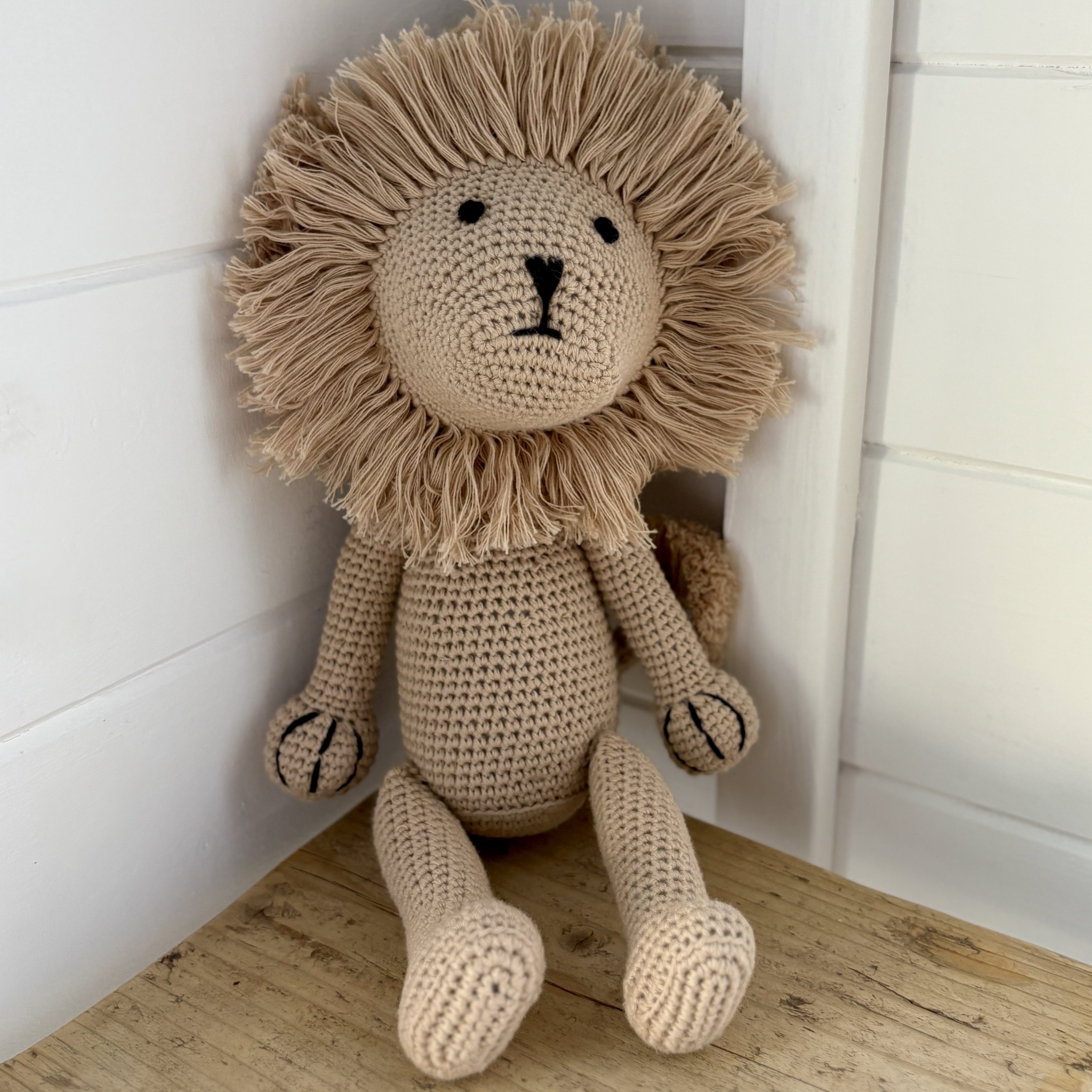 Imperfectly Perfect Lucky The Lion