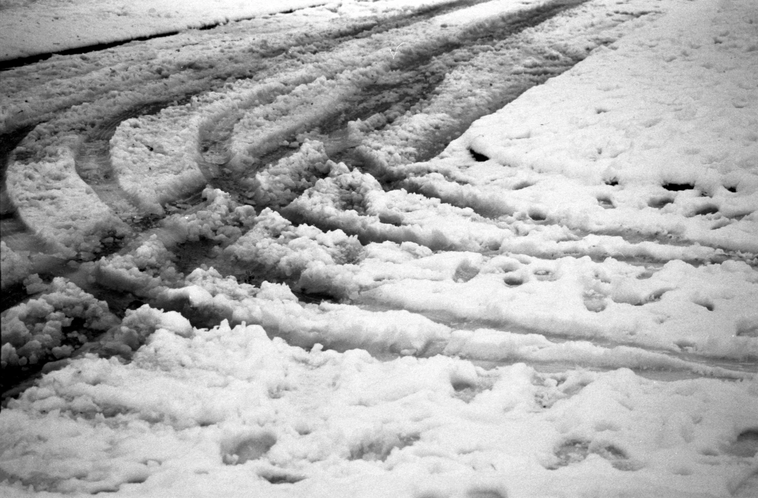       
  
    HP5 Self developed film  Jan 26  

   .fe-block-yui_3_17_2_1_1768936124591_3130 {mix-blend-mode: ;
    } 
     


  

  


 
   
    
      

        

        

        
          
             
               
                
       