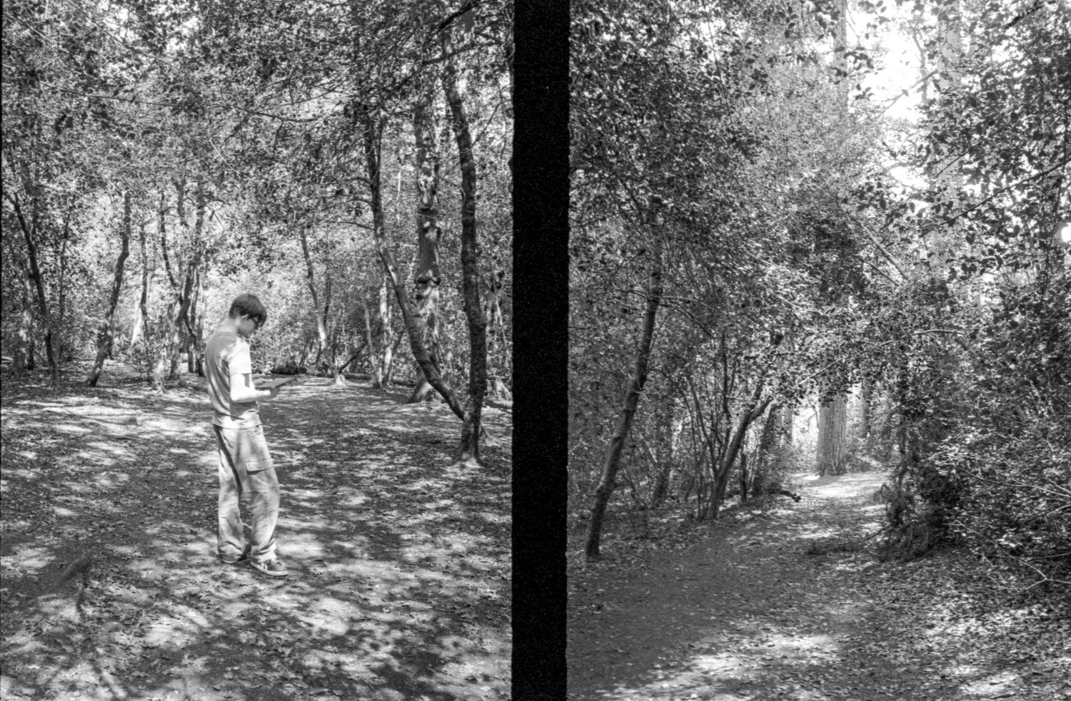      
  
    Pentax 17 Half frames, HP5, May 26  


  
 #block-yui_3_17_2_1_1779809926467_4083 {
    
    --stroke-style: none;--stroke-thickness: 2px;
    
      --tweak-text-block-stroke-color: hsla(var(--black-hsl), 1)
;
      
      
      
    