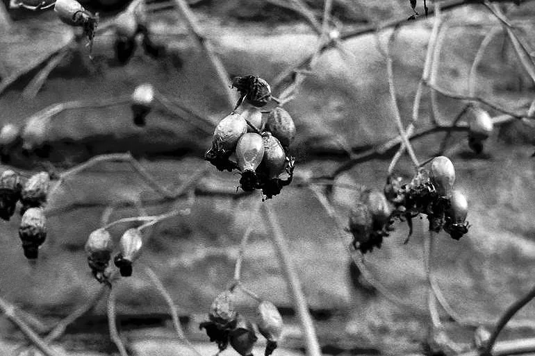 12617167-NJYTLBIK-7f copya.jpg