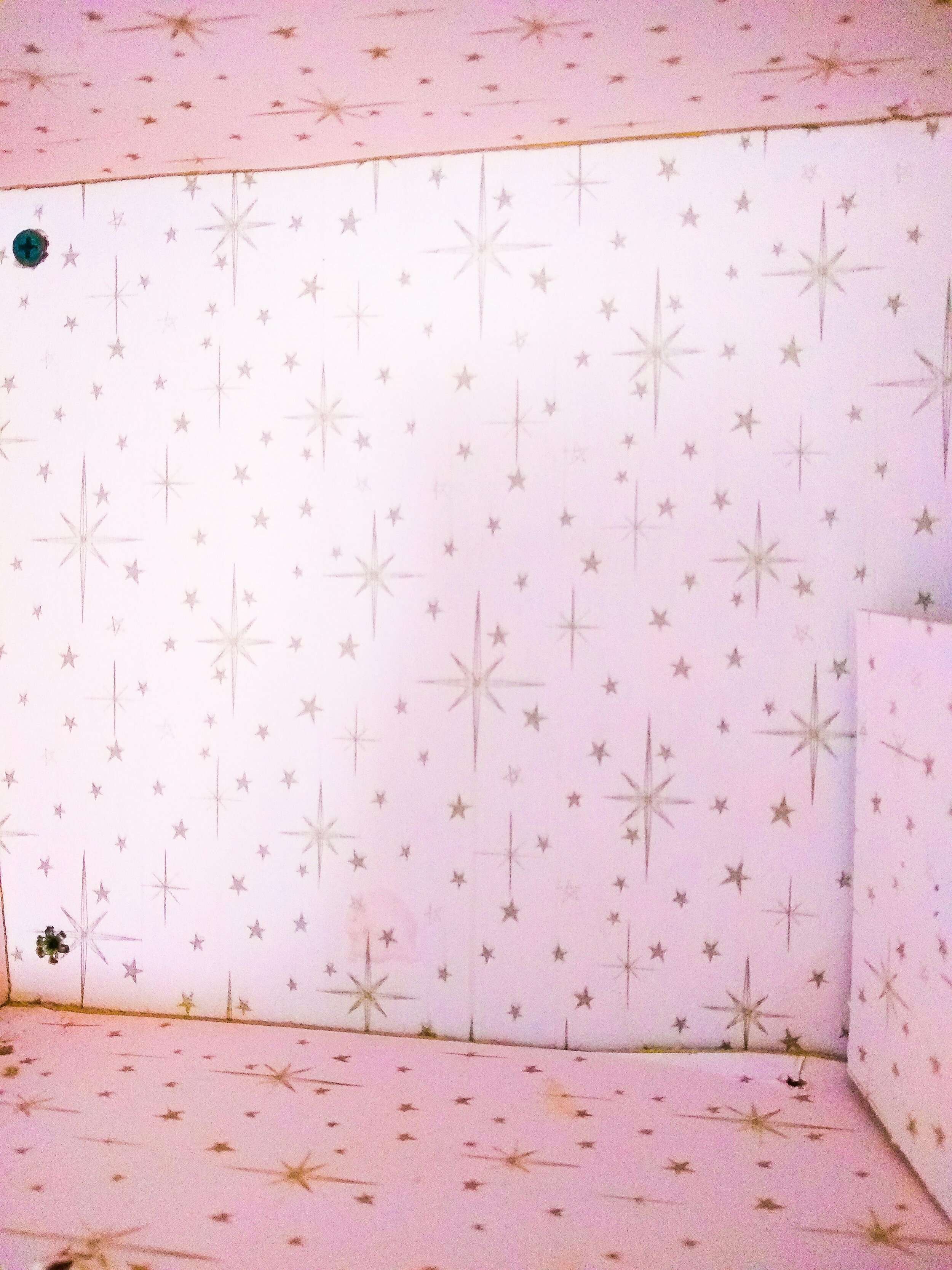 Vintage Pink Doll Case Interior Atomic Stars