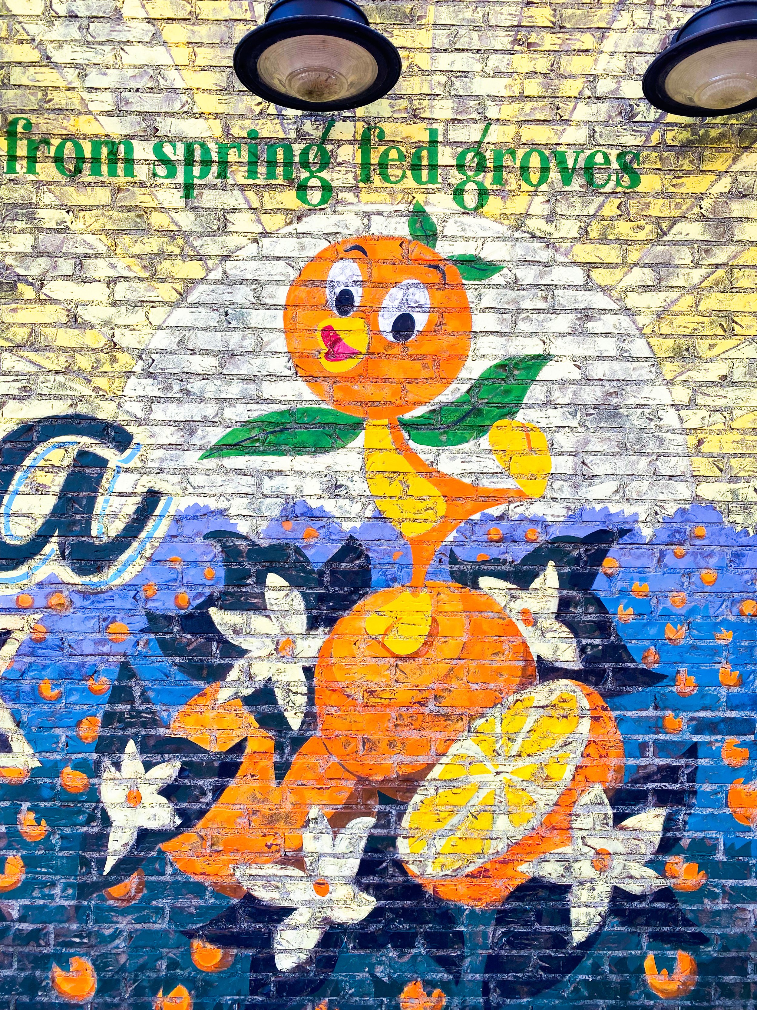 Vintage Orange Bird Mural