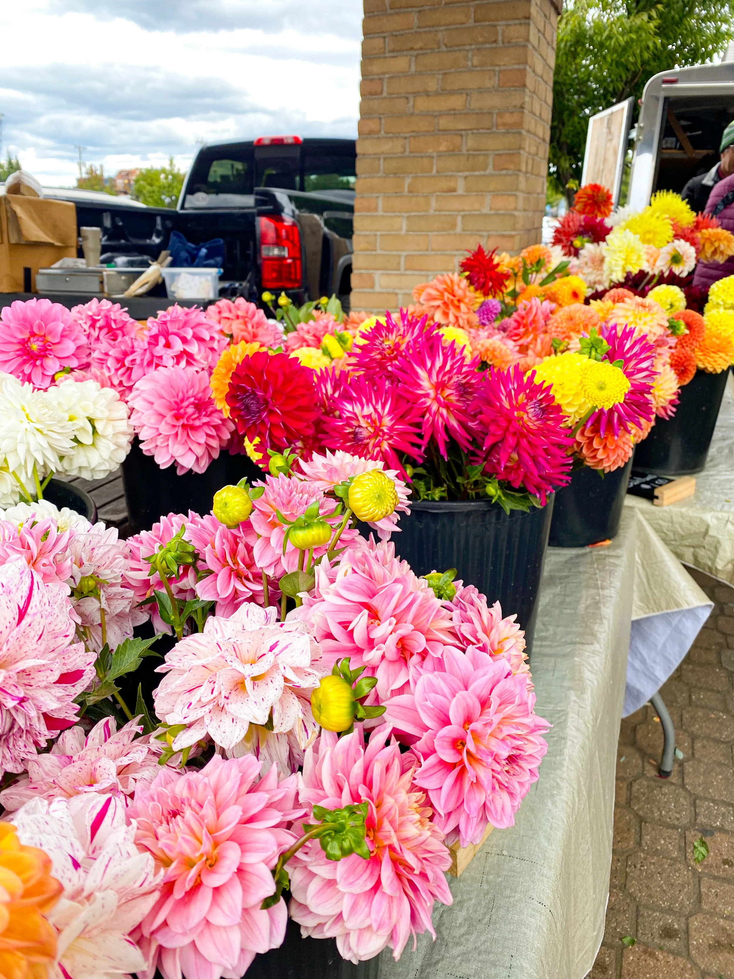 Downtown Holland farmers market