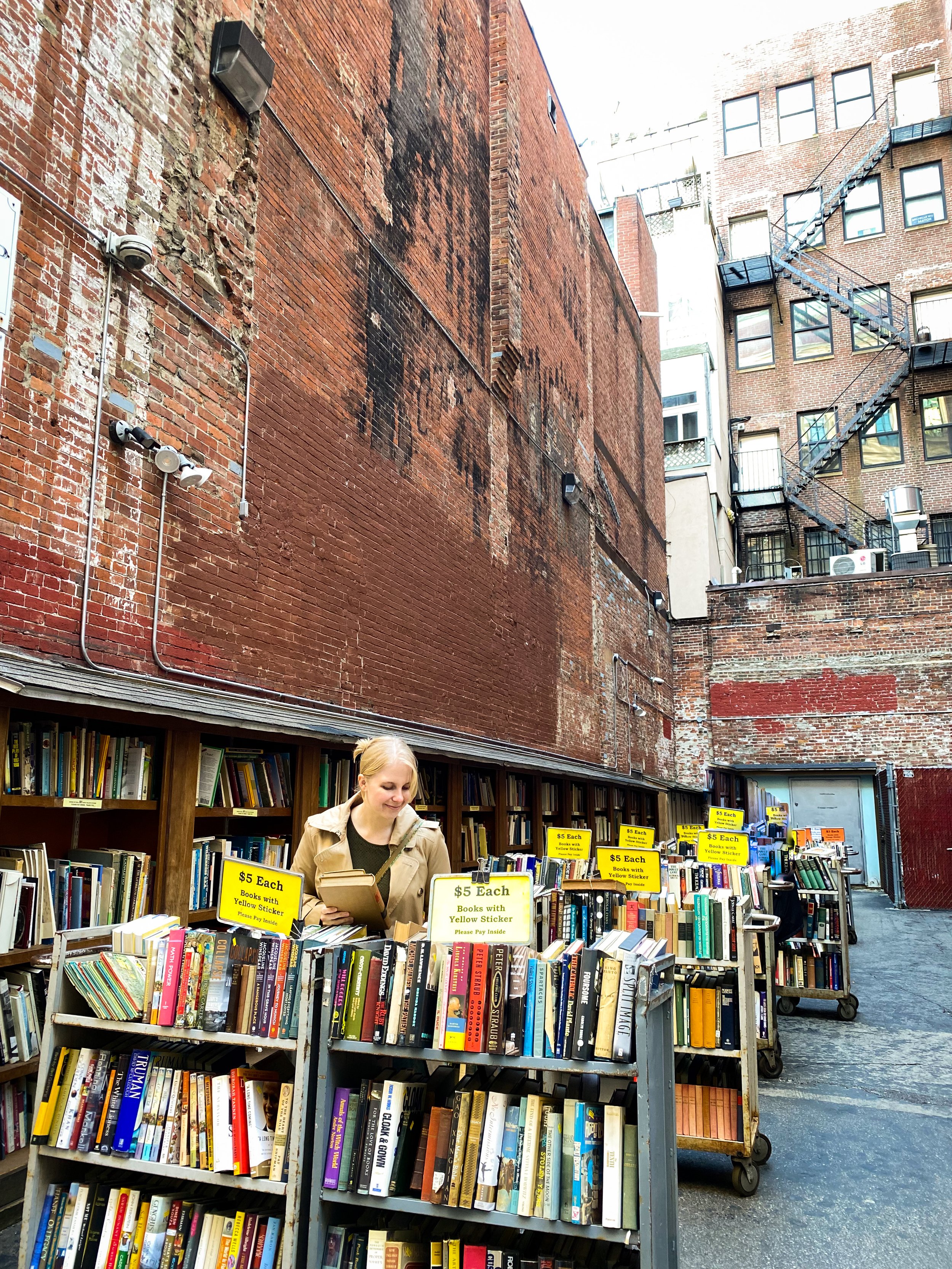 Boston alley books