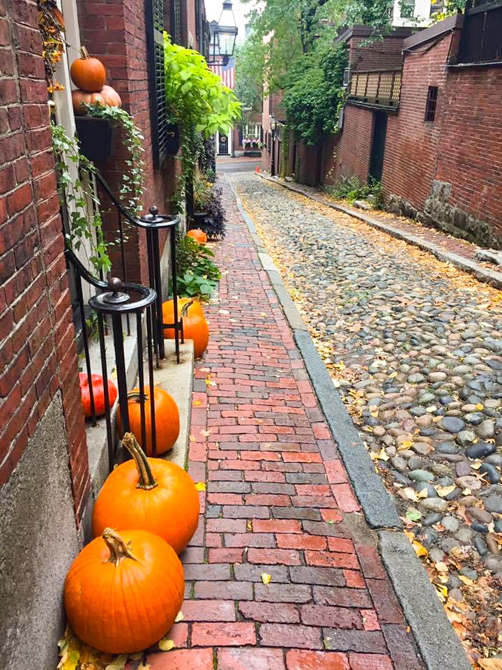 Boston Halloween decorations
