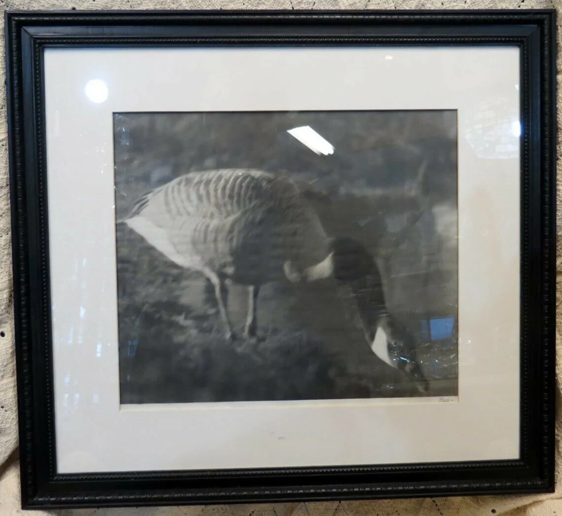 Vintage Nude Erotica Large Photograph Tuscan Productions 5 Sir vintage-nude-erotica-large-photograph-tuscan-productions-5-sir